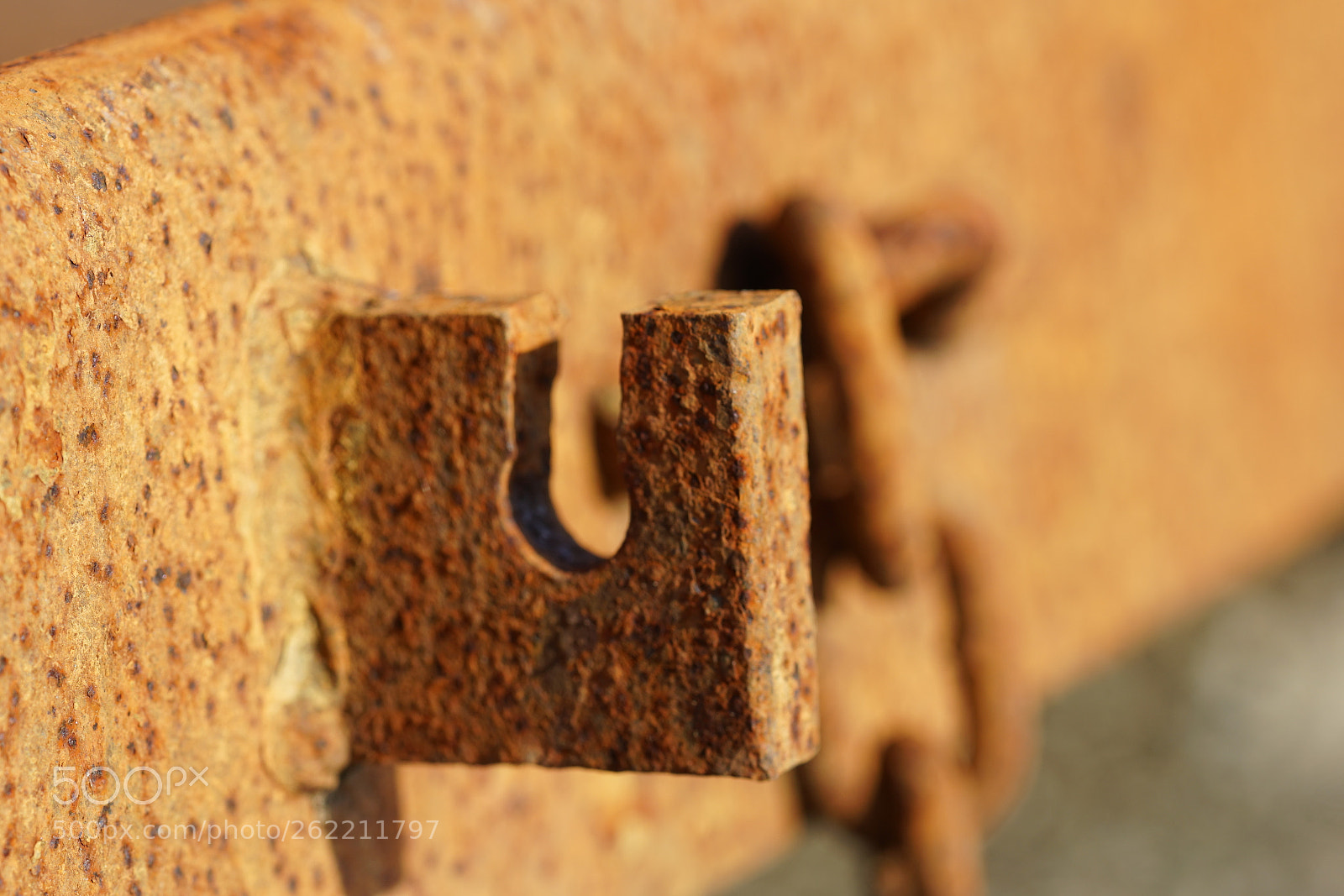 Sony a7R II sample photo. Chain photography