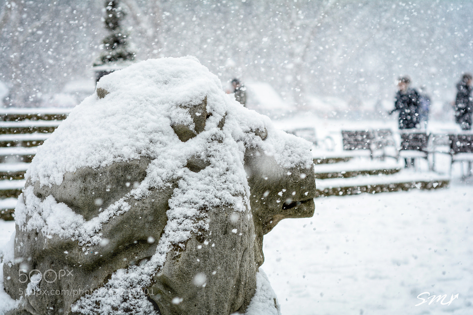 Nikon D7100 sample photo. Snow photography