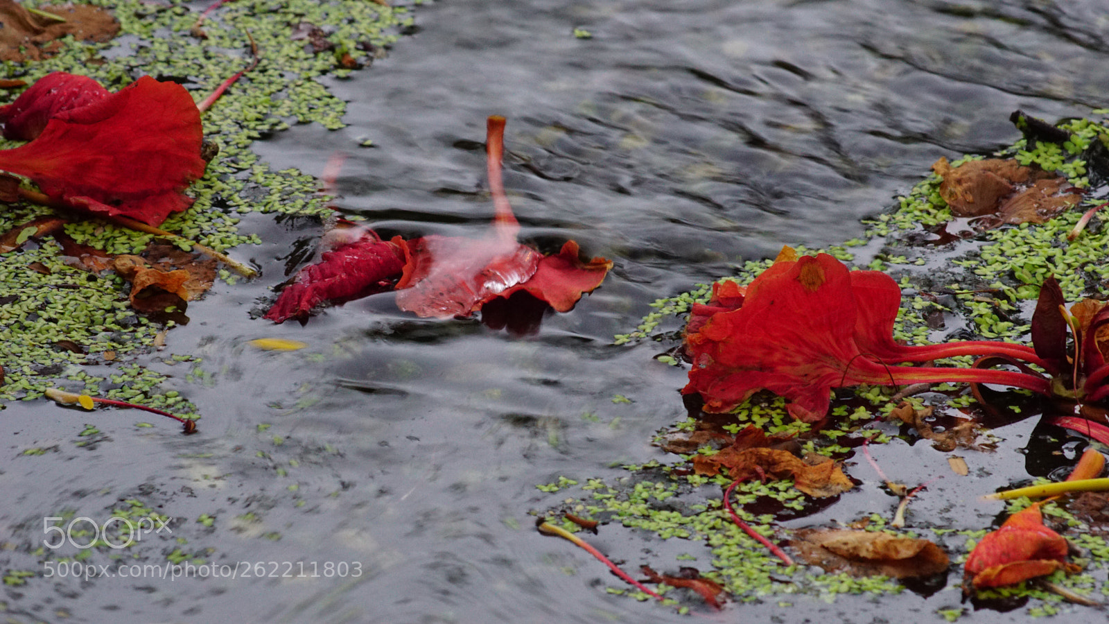 Sony ILCA-77M2 sample photo. Untitled photography