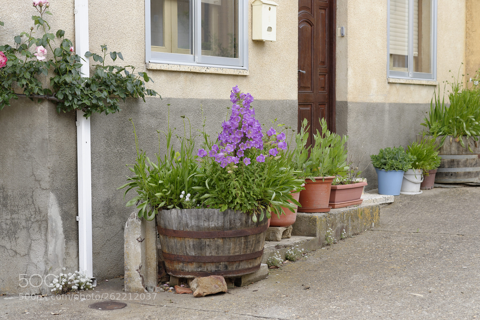 Samyang 85mm F1.4 Aspherical IF sample photo. A la puerta de photography