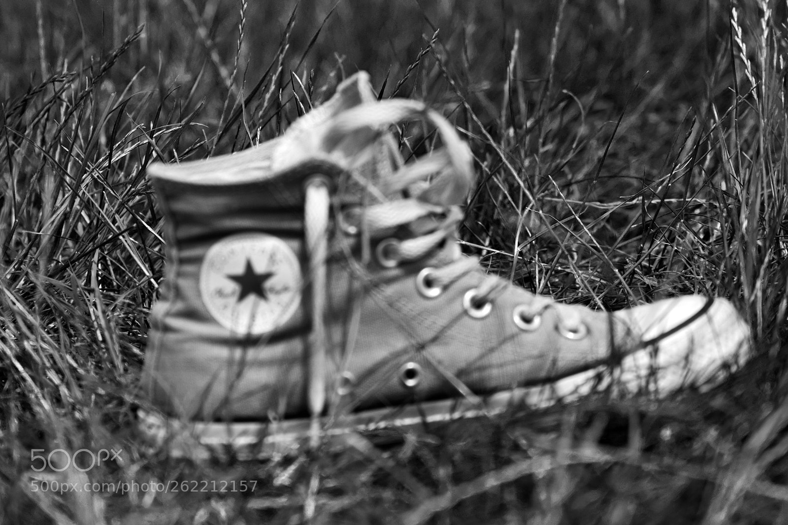 Nikon D3300 sample photo. My shoe in the photography