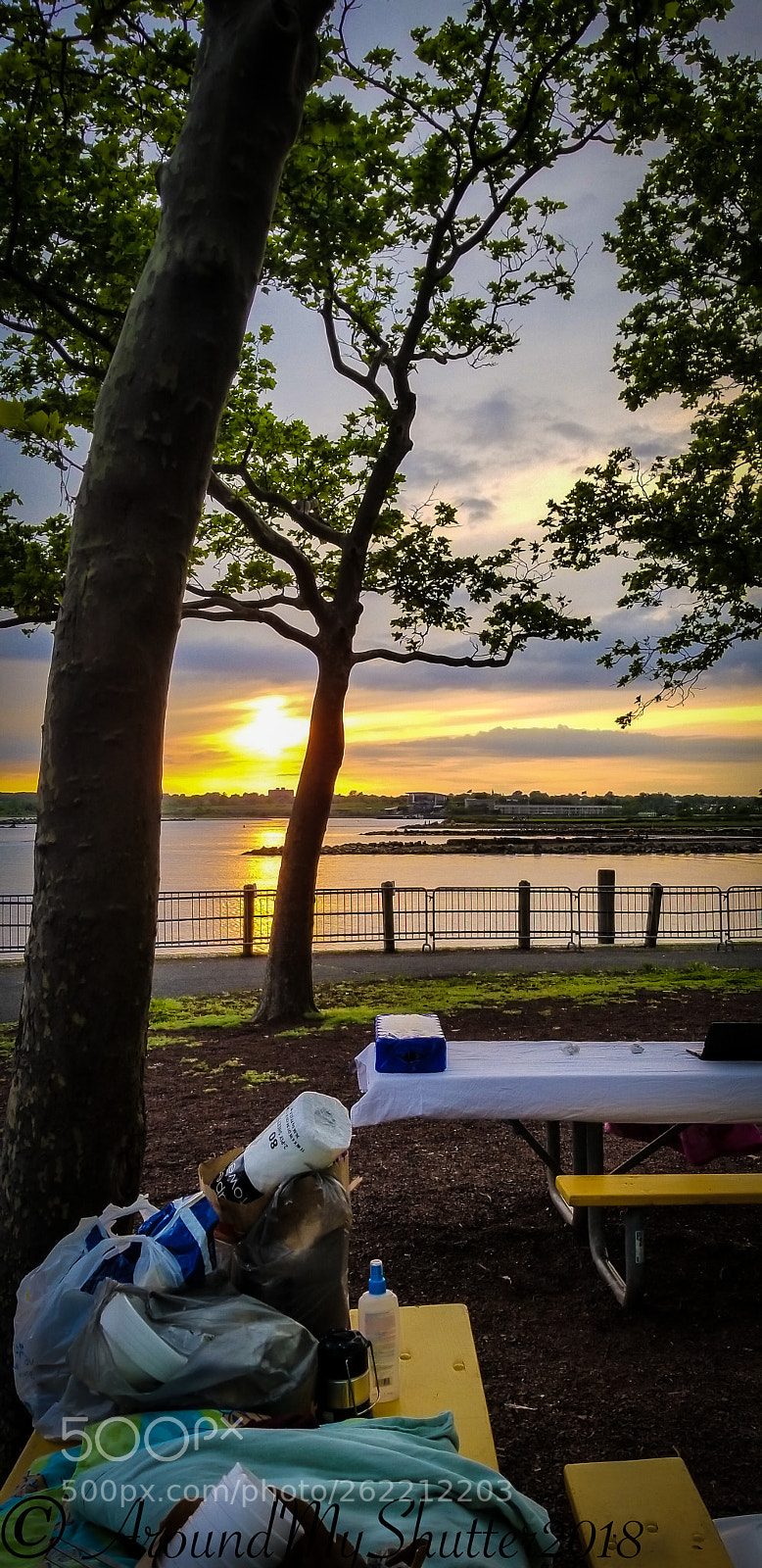 Samsung Galaxy S8+ sample photo. Liberty state park.jpg photography
