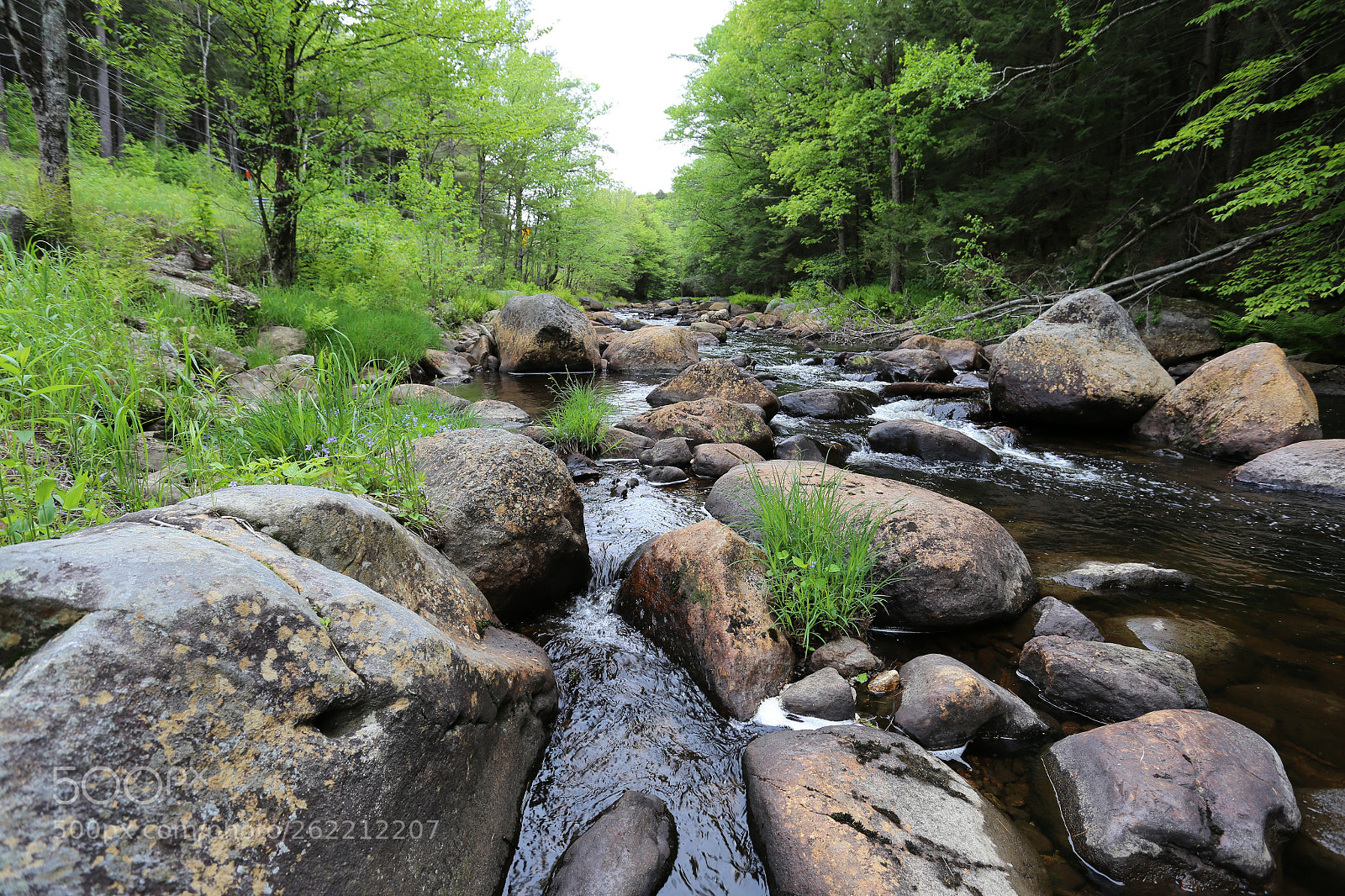 Canon EOS 6D sample photo. A river in maine photography