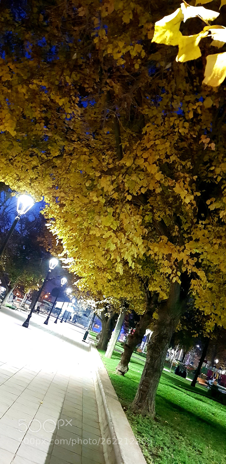 Samsung Galaxy S8+ sample photo. Untitled photography