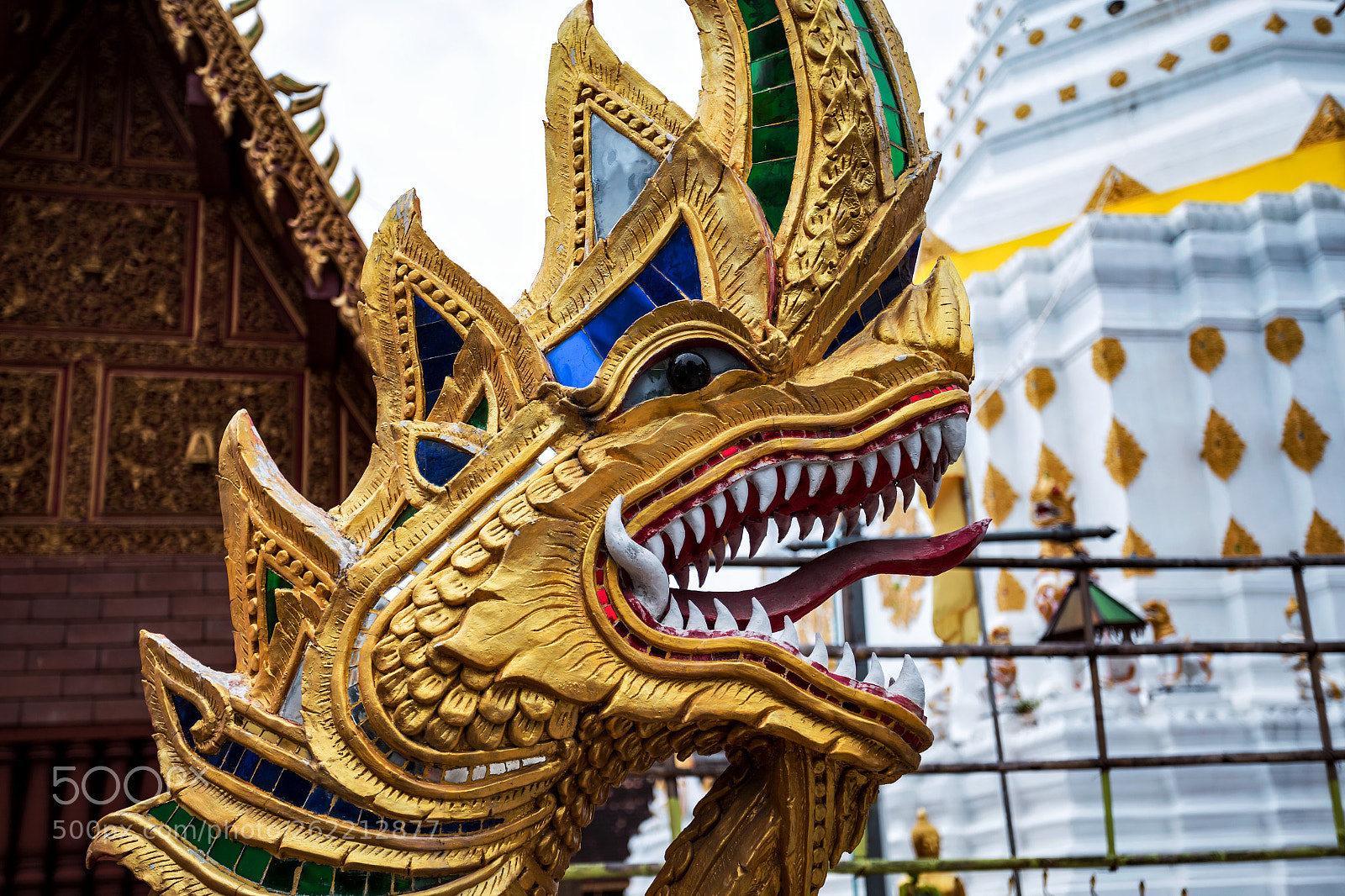 Canon EOS 6D sample photo. Golden dragon photography