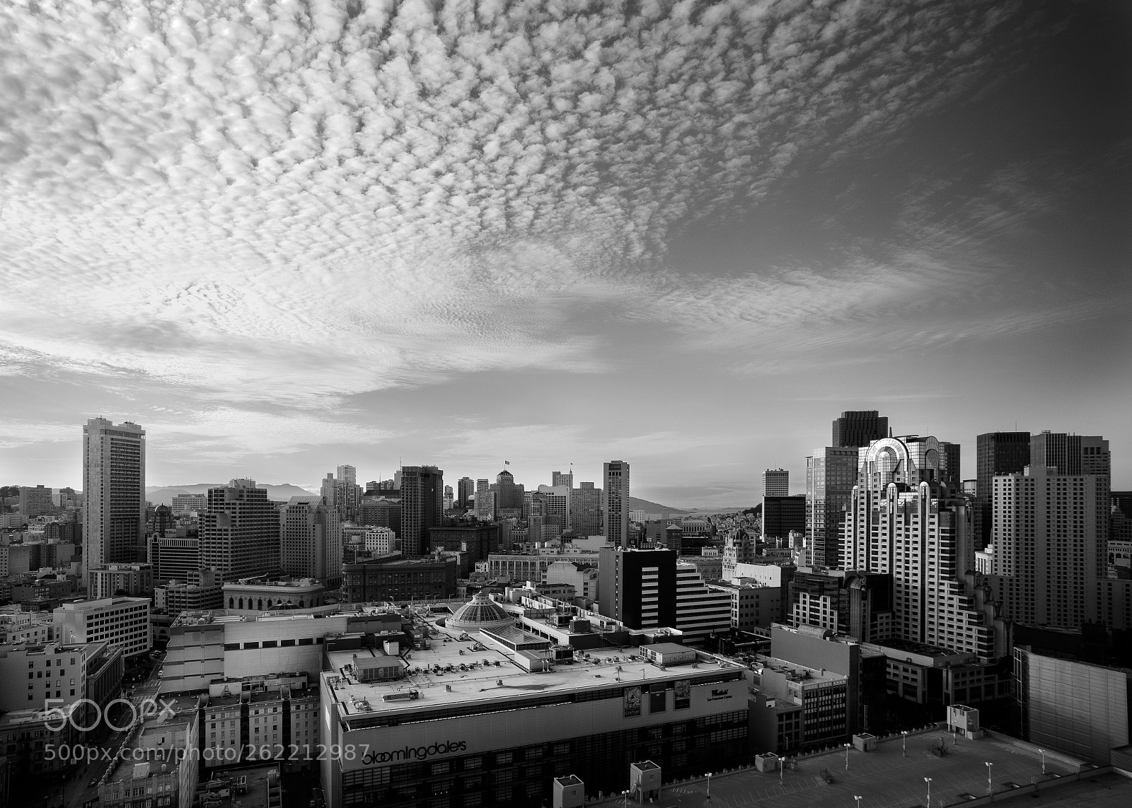 Leica M Monochrom (Typ 246) sample photo. Sanfrancisco san francisco california photography