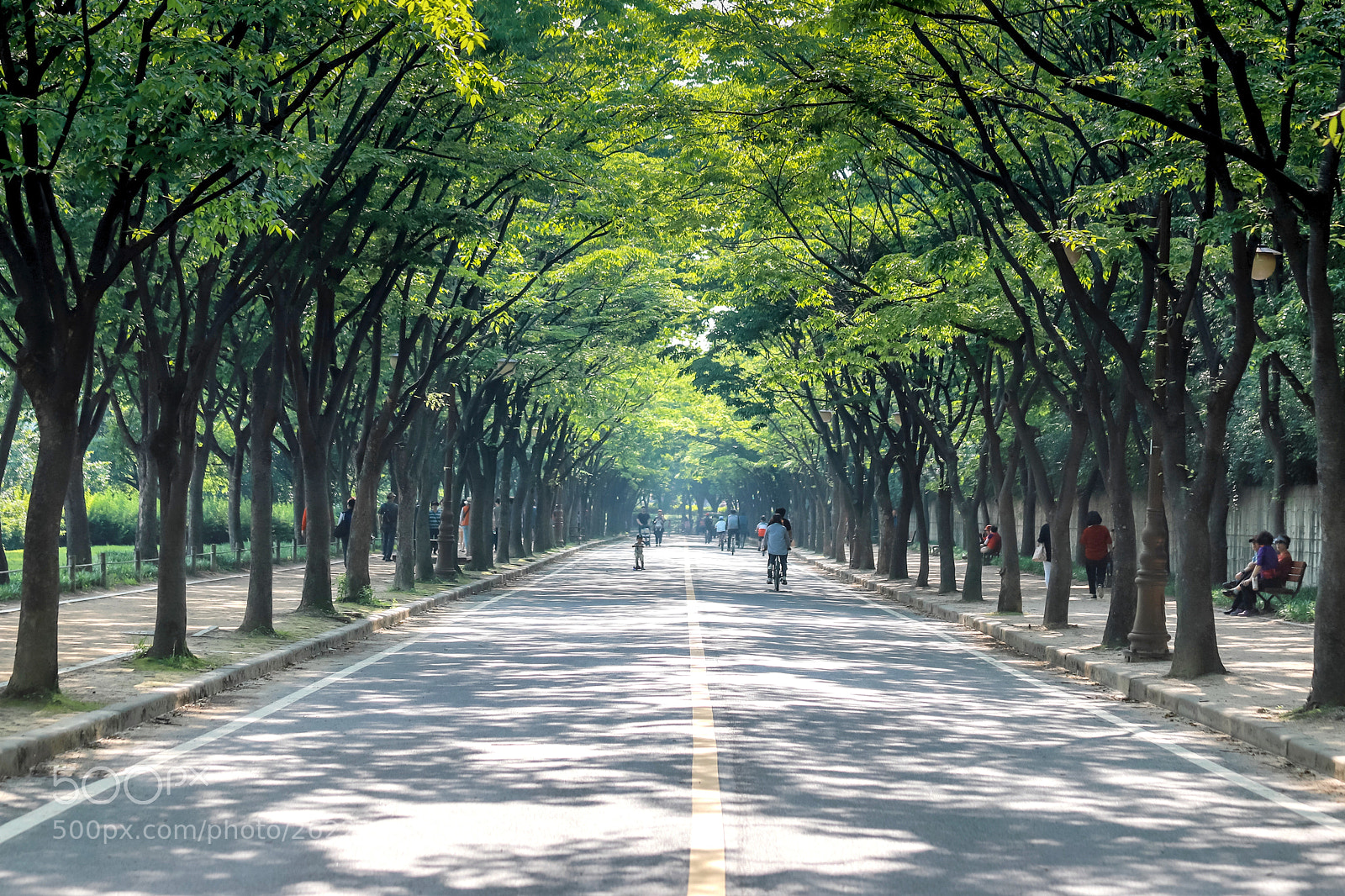 Canon EOS 6D Mark II sample photo. Incheon park photography