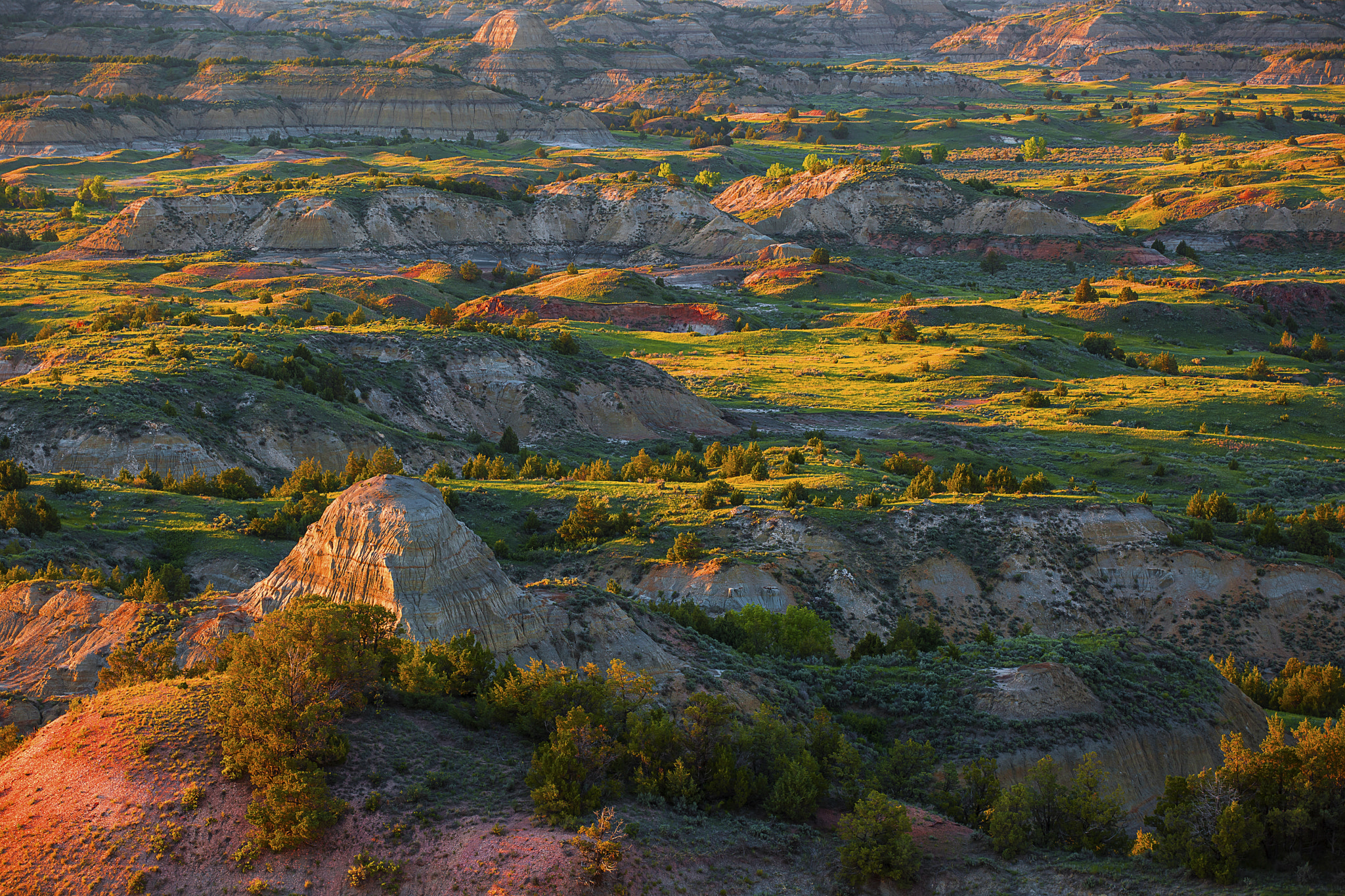 North Dakoda, Painted Canyon, Theodore Rooseveil N