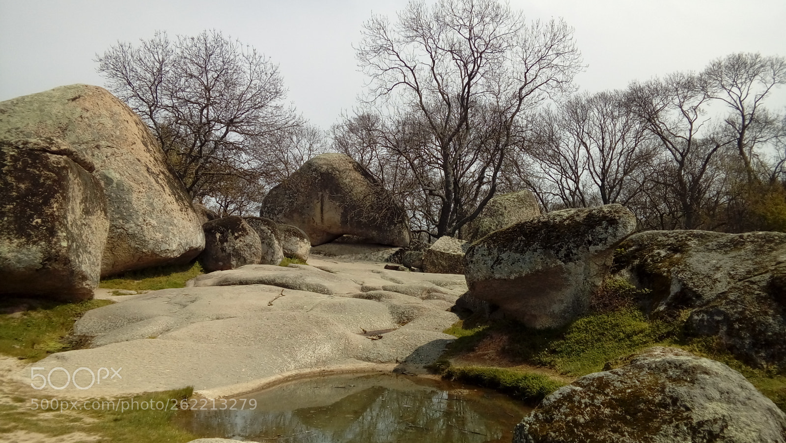 LG K350N sample photo. Untitled photography