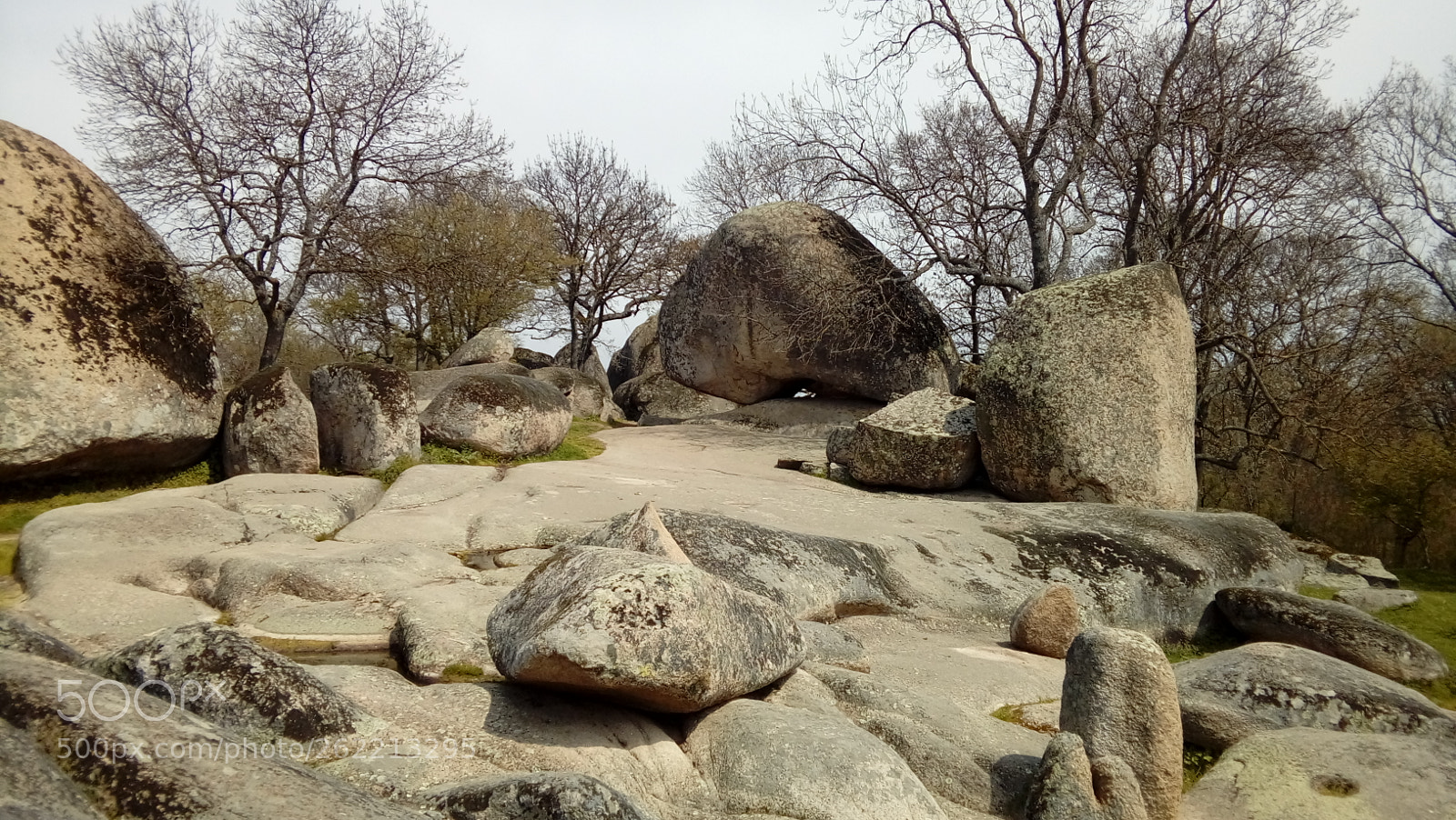 LG K350N sample photo. Untitled photography