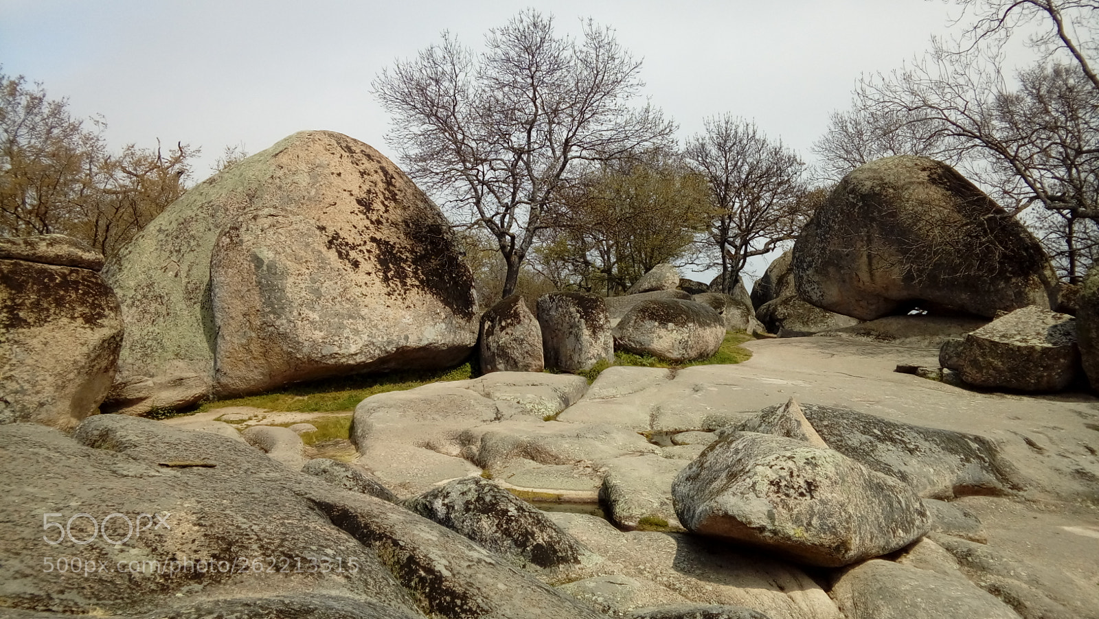 LG K350N sample photo. Untitled photography