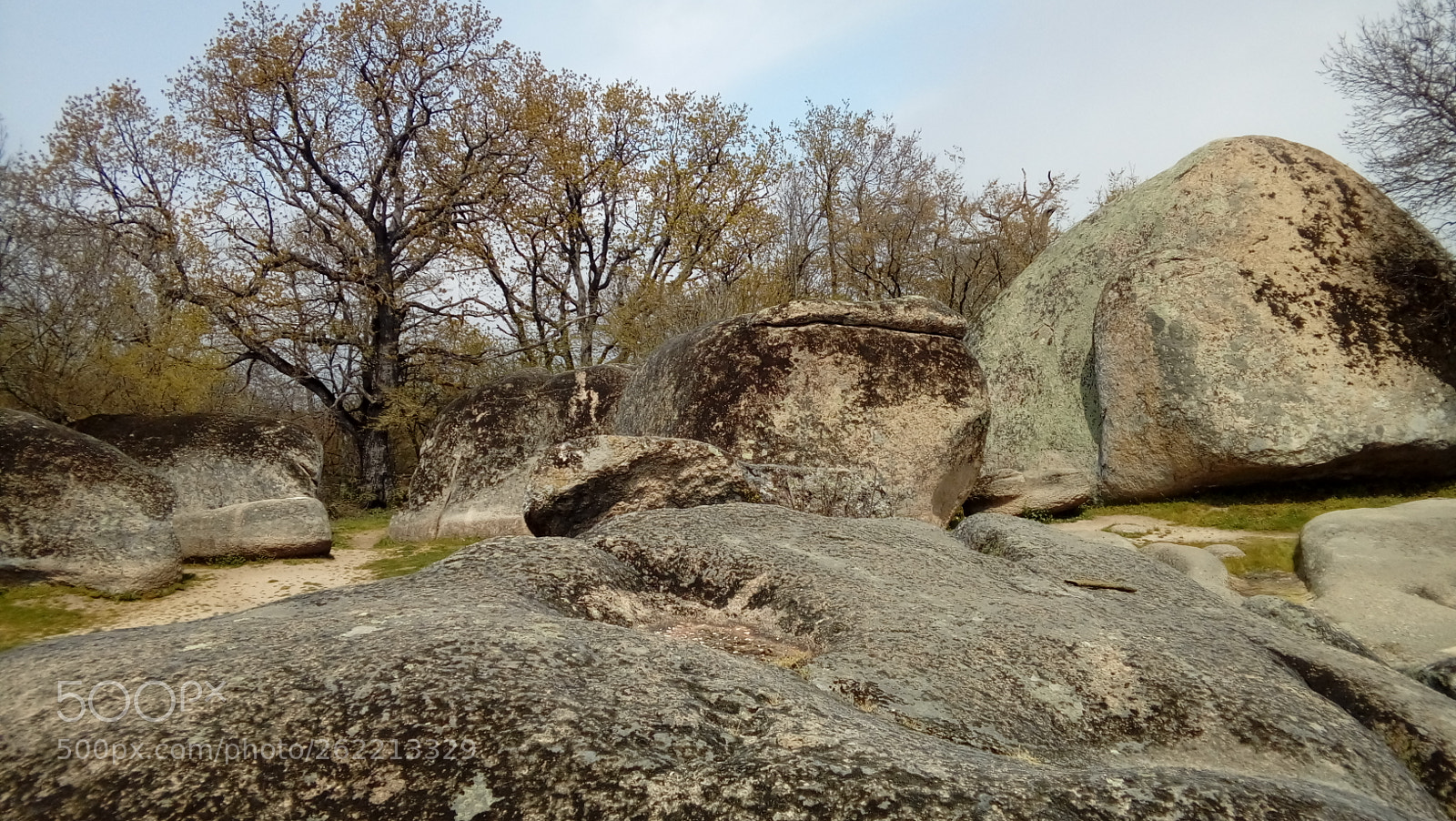 LG K350N sample photo. Untitled photography