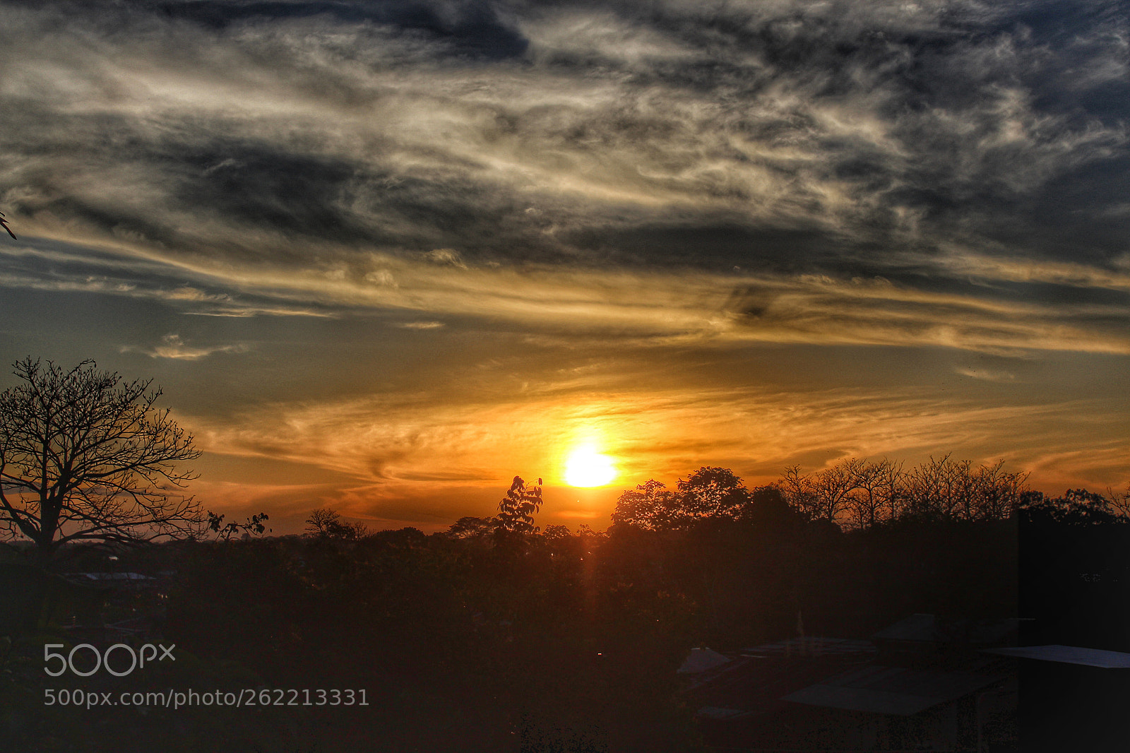 Canon EOS 1300D (EOS Rebel T6 / EOS Kiss X80) sample photo. Sunset in the amazon photography