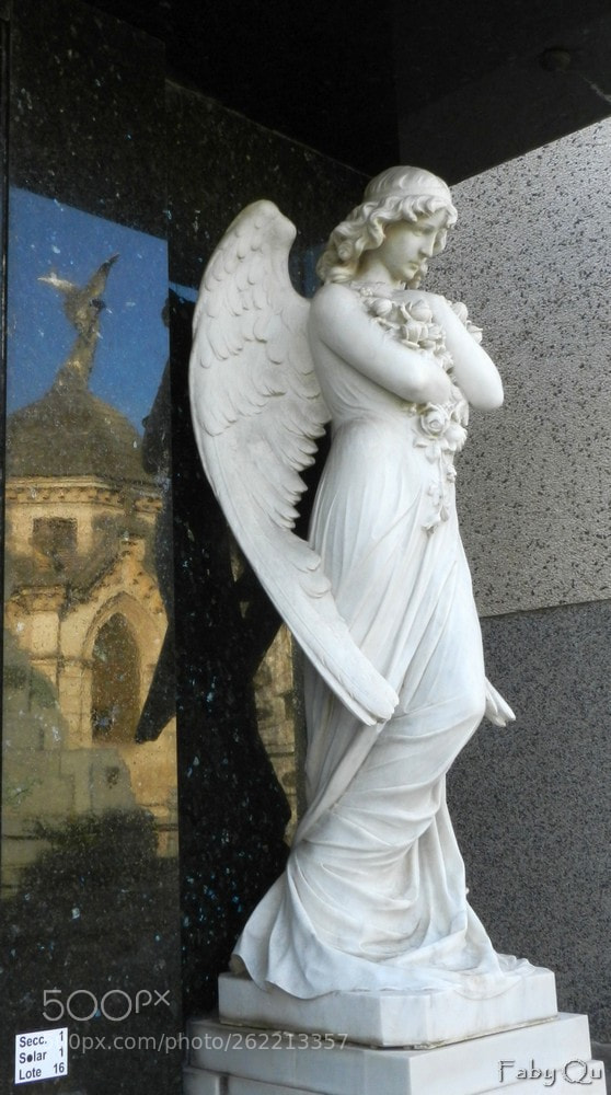Nikon Coolpix P500 sample photo. Angel tn photography
