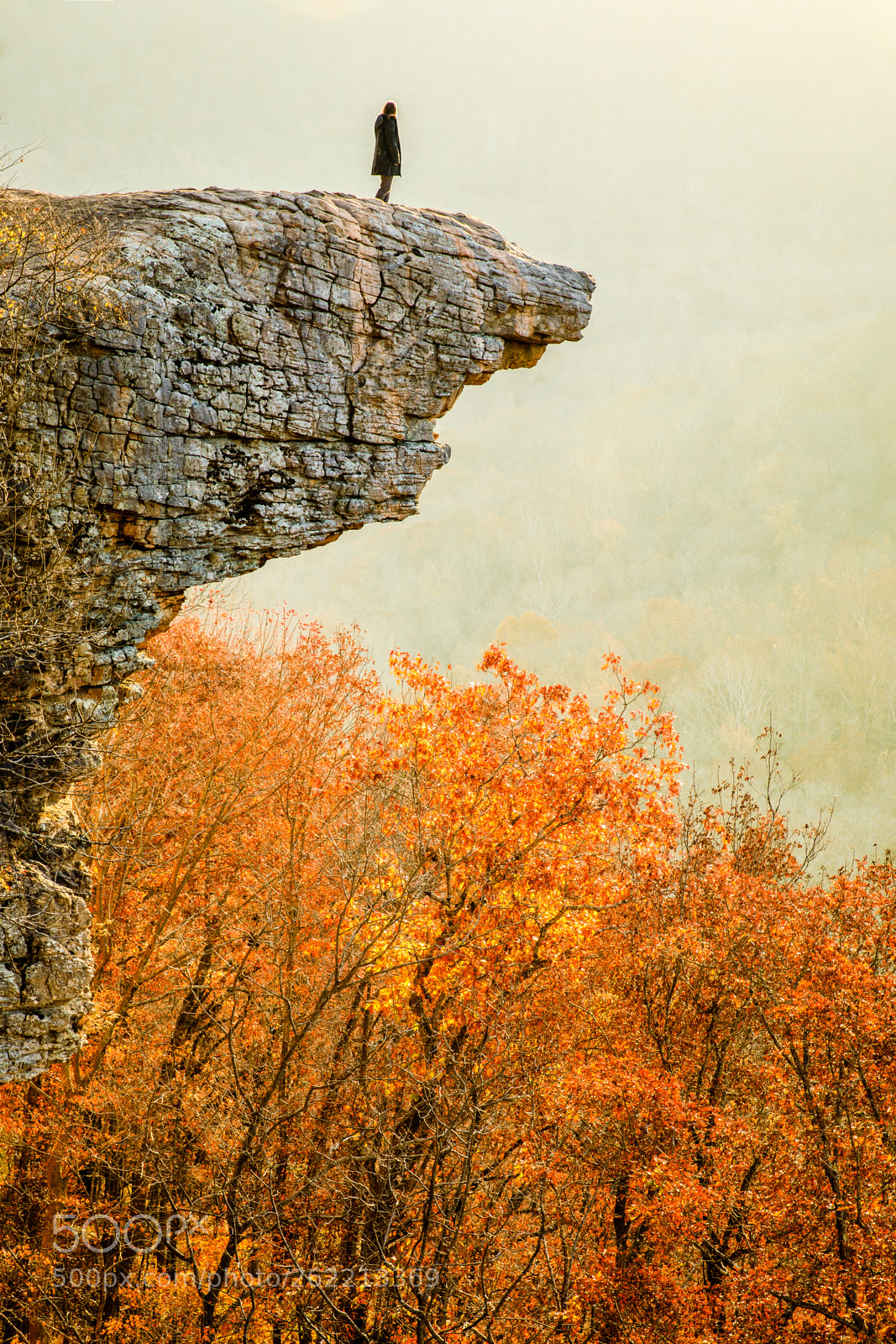 Canon EOS 5D Mark IV sample photo. Late autumn of ozark photography