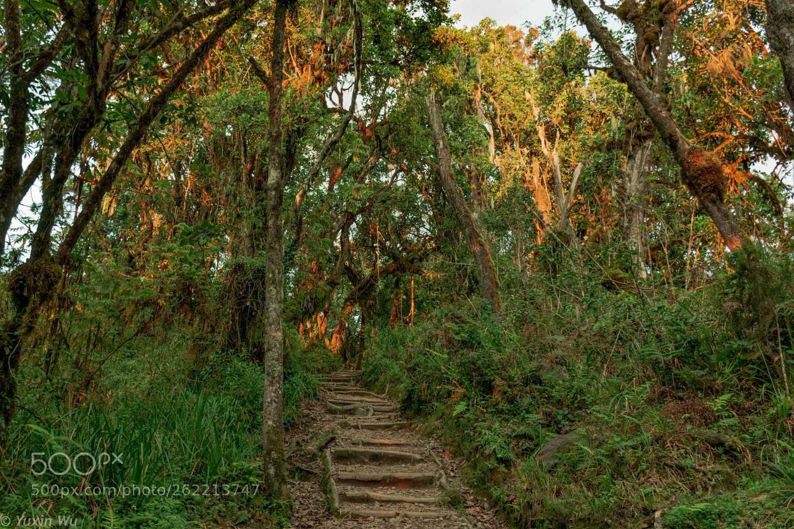 Nikon D7100 sample photo. Kilimanjaro day1 dusk photography