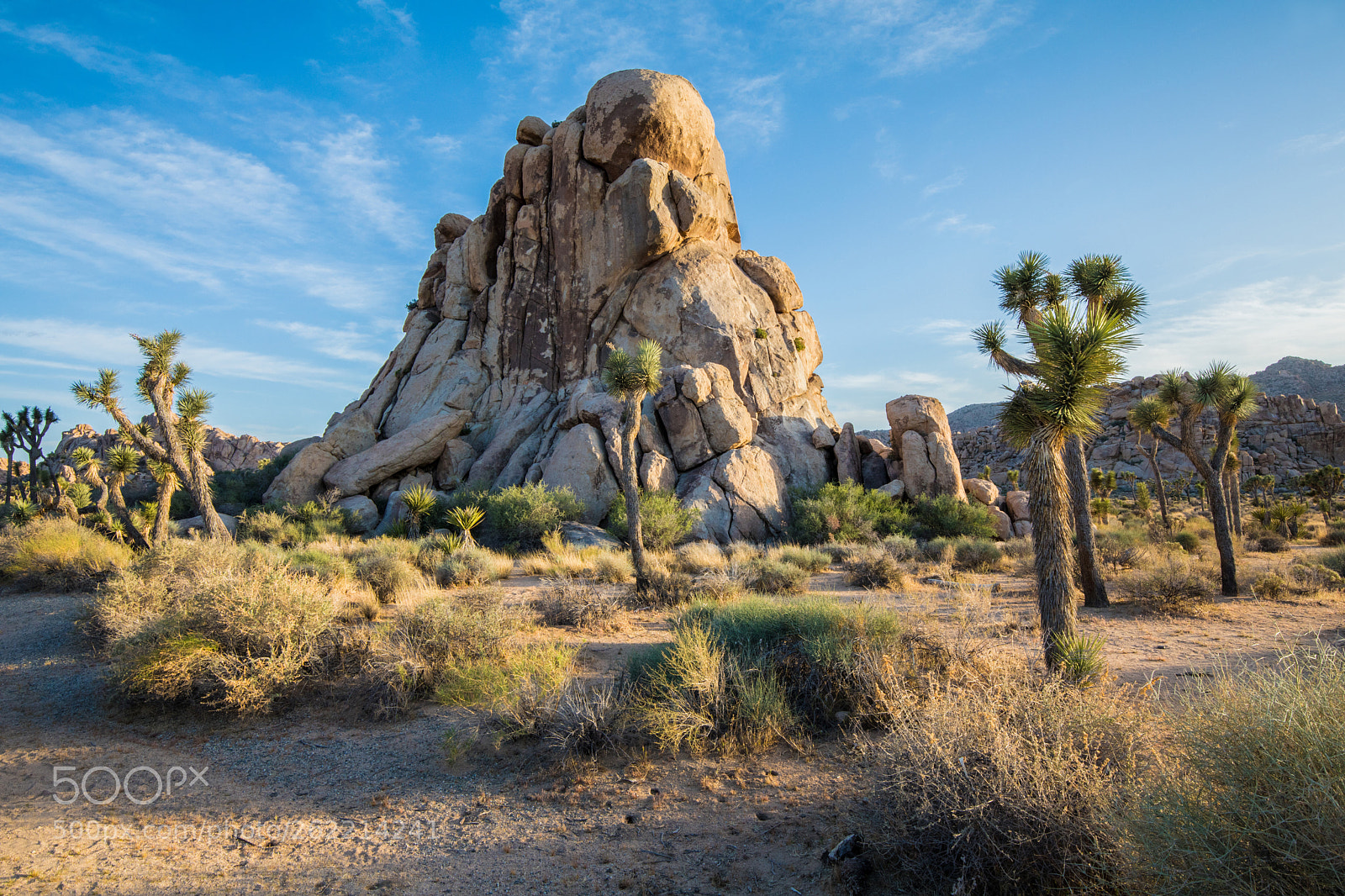 Canon EOS 5D Mark IV sample photo. Joshua tree national park photography