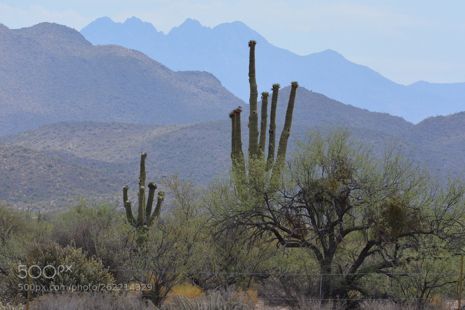 Nikon D5200 sample photo. Majestic desert vista photography