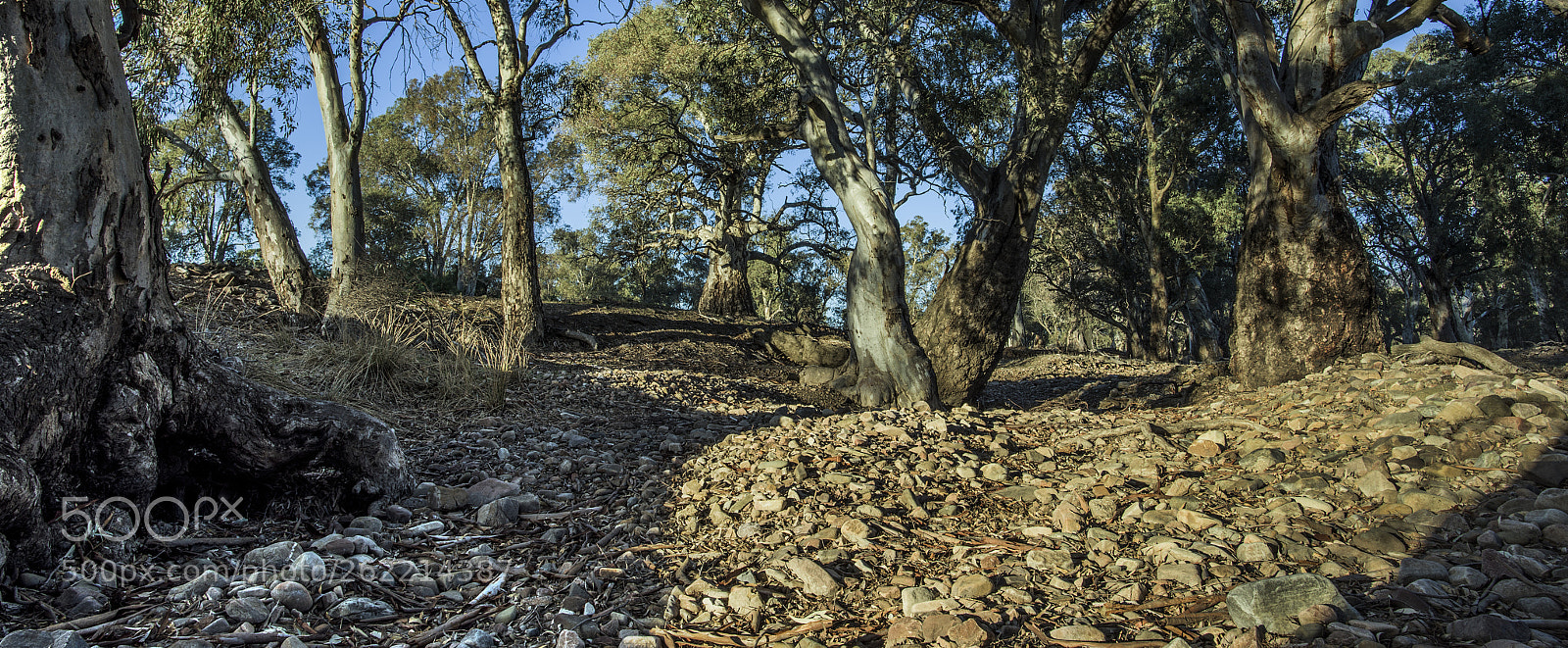 Nikon D810 sample photo. Dry creek bed,flinders ranges,south photography