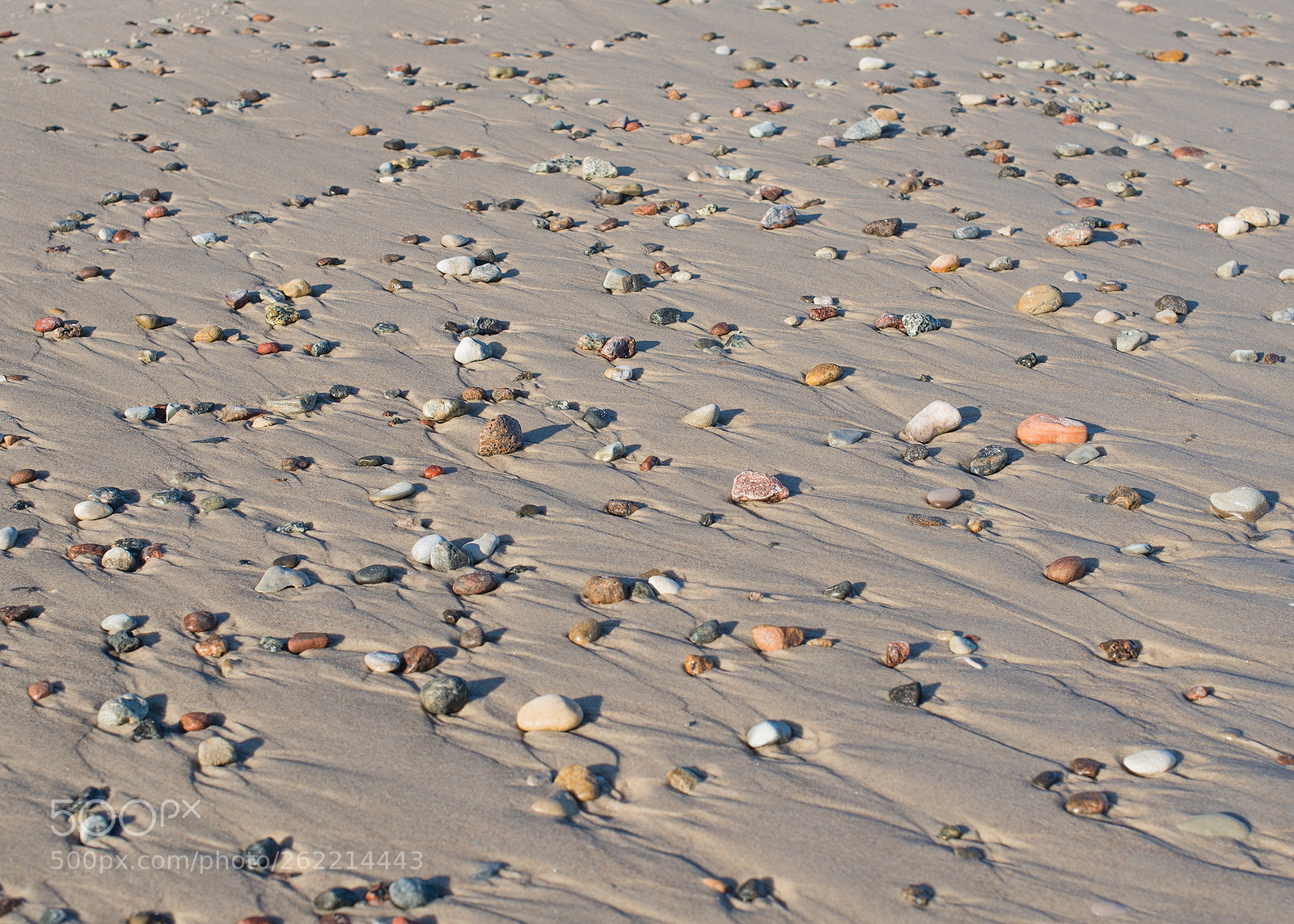 Nikon D610 sample photo. Rocks on the beach photography
