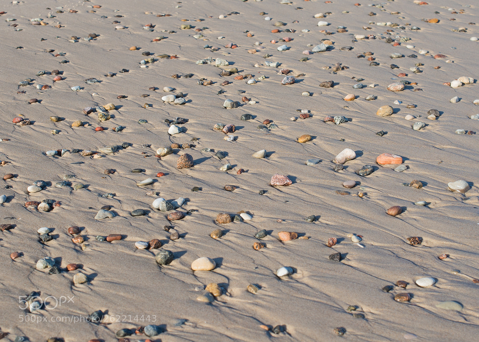 Nikon D610 sample photo. Rocks on the beach photography