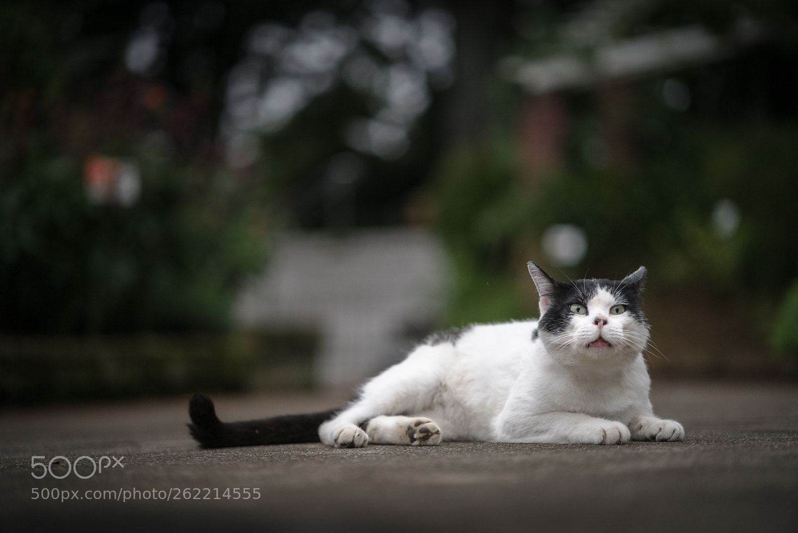Sony a7S II sample photo. ！ photography
