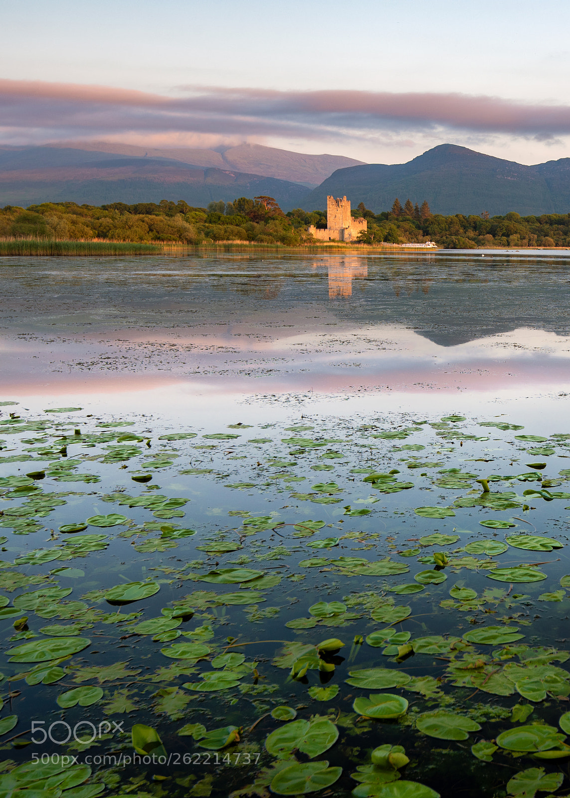 Nikon D750 sample photo. Ross castle - killarney photography