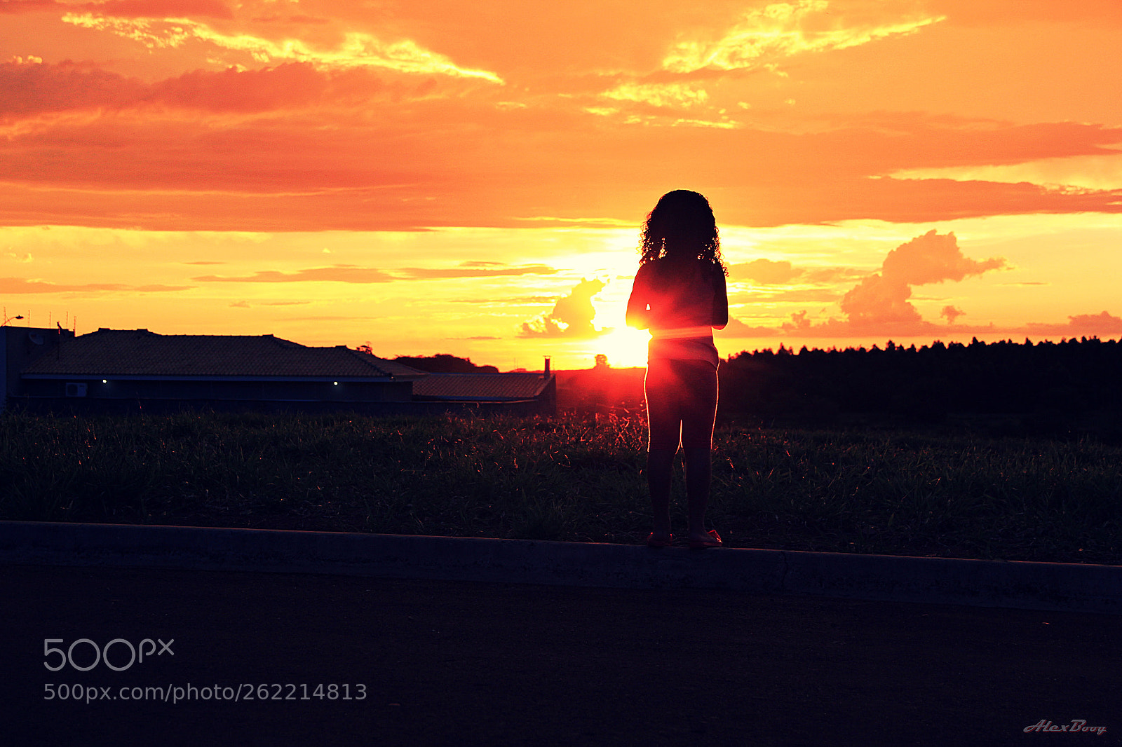 Canon EF-S 18-135mm F3.5-5.6 IS sample photo. Ecbfo photography