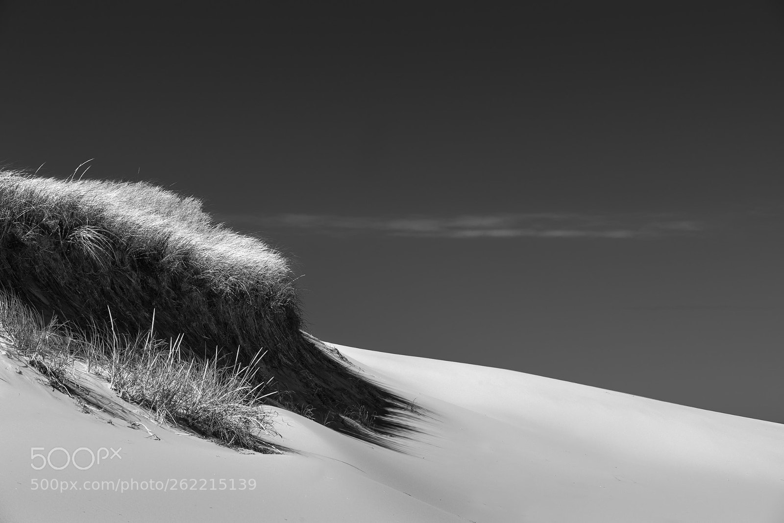 Nikon D610 sample photo. Dune ... photography