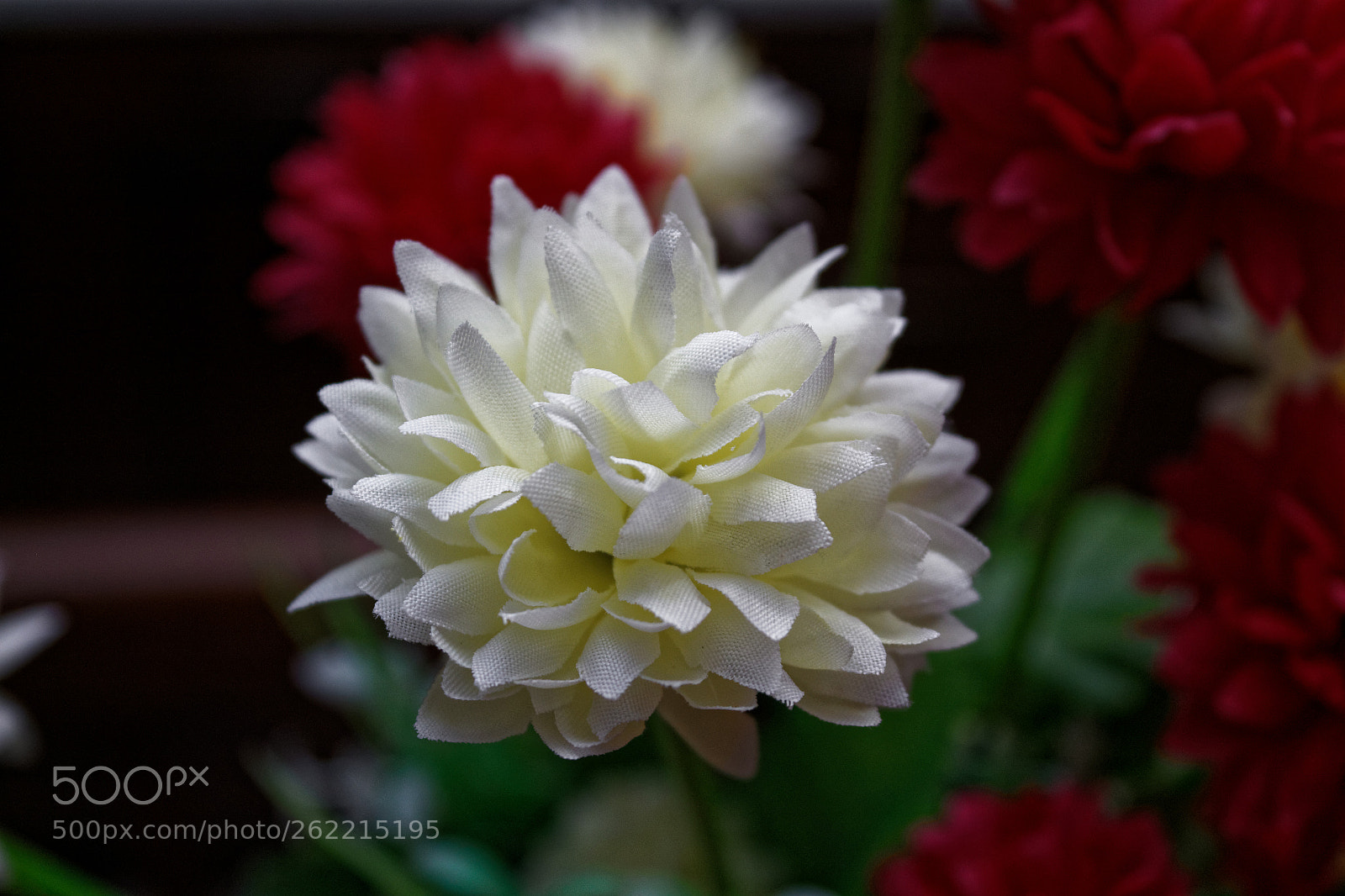 Canon EOS 1300D (EOS Rebel T6 / EOS Kiss X80) sample photo. Flower photography