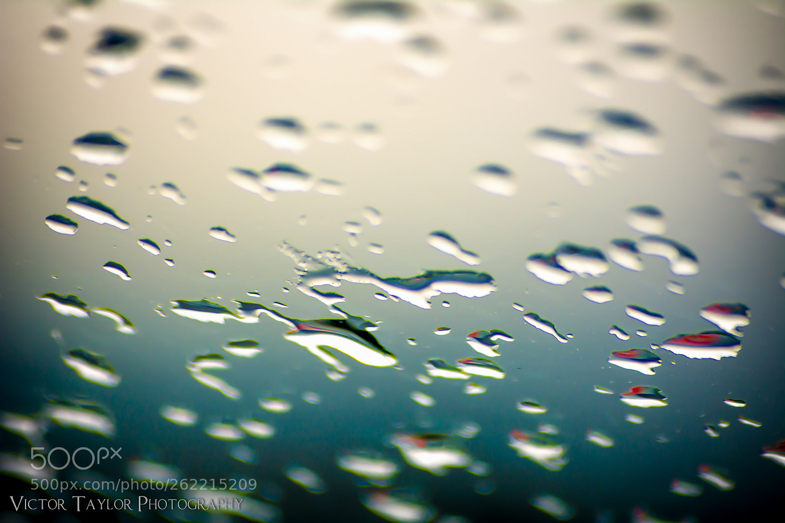 Nikon D7100 sample photo. Drops i photography