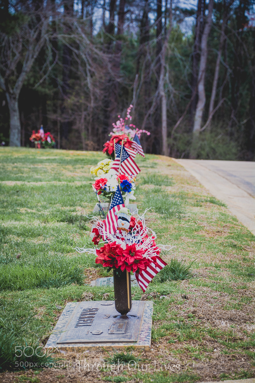 Nikon D5200 sample photo. Untitled photography