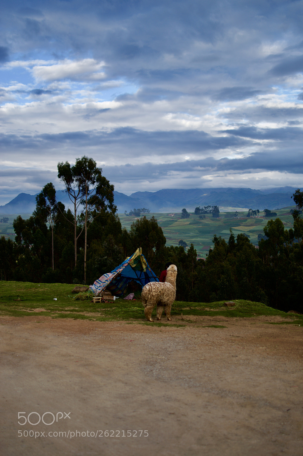Nikon D3300 sample photo. Fullsizeoutput dc photography