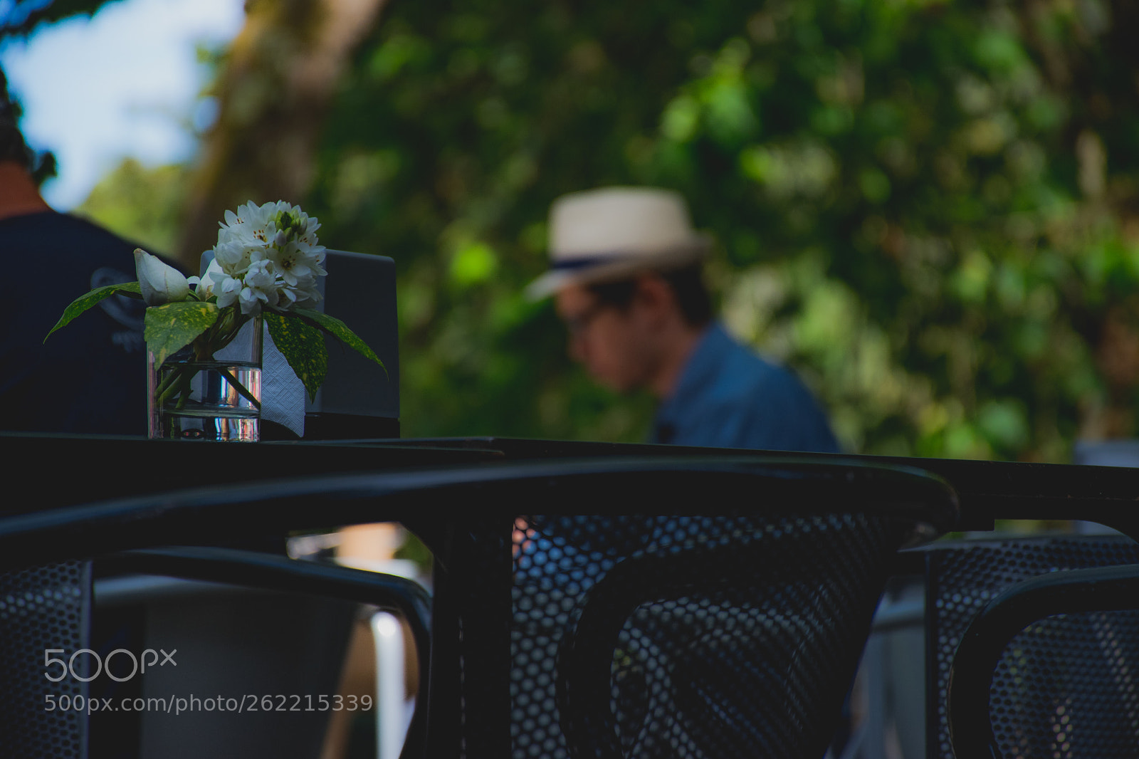 Nikon D5600 sample photo. Untitled photography