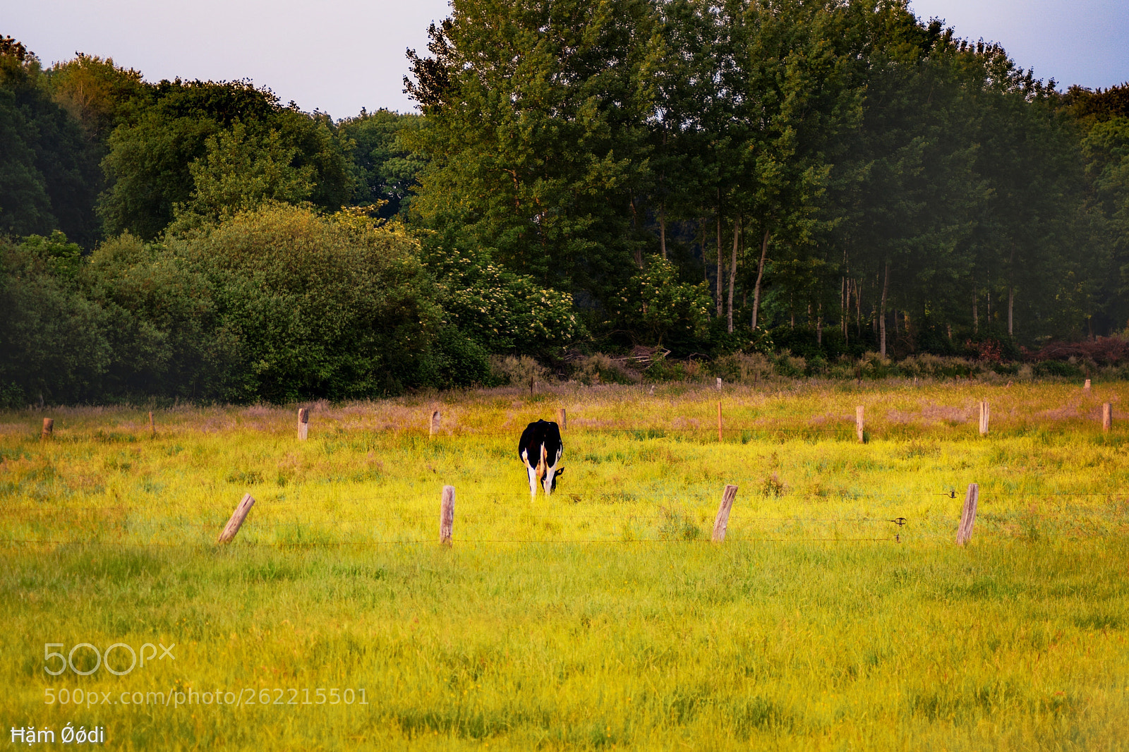Nikon D5300 sample photo. Untitled photography