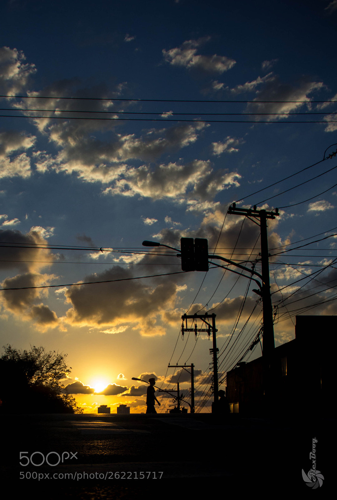 Canon EOS 60D sample photo. Dfo photography