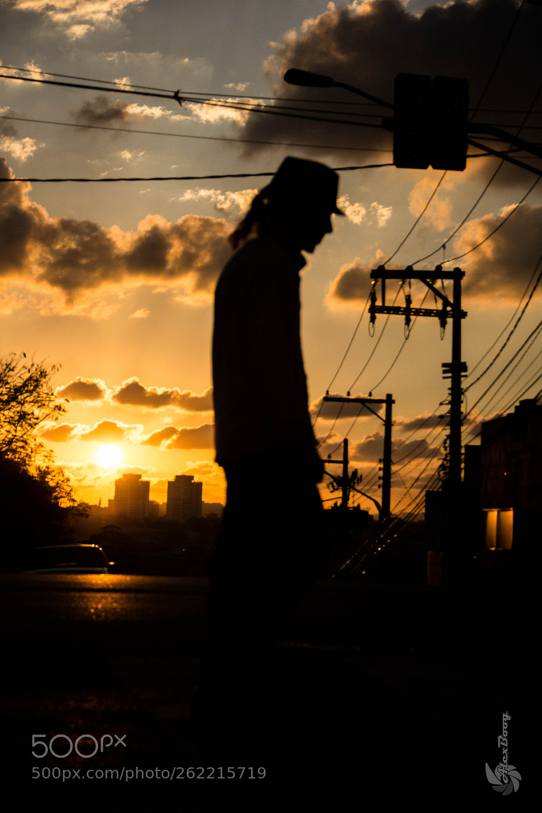 Canon EOS 60D sample photo. Cd o photography