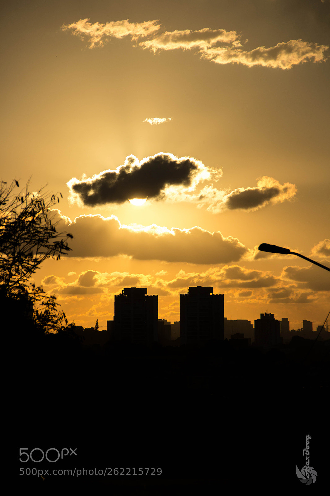 Canon EOS 60D sample photo. Afedo photography