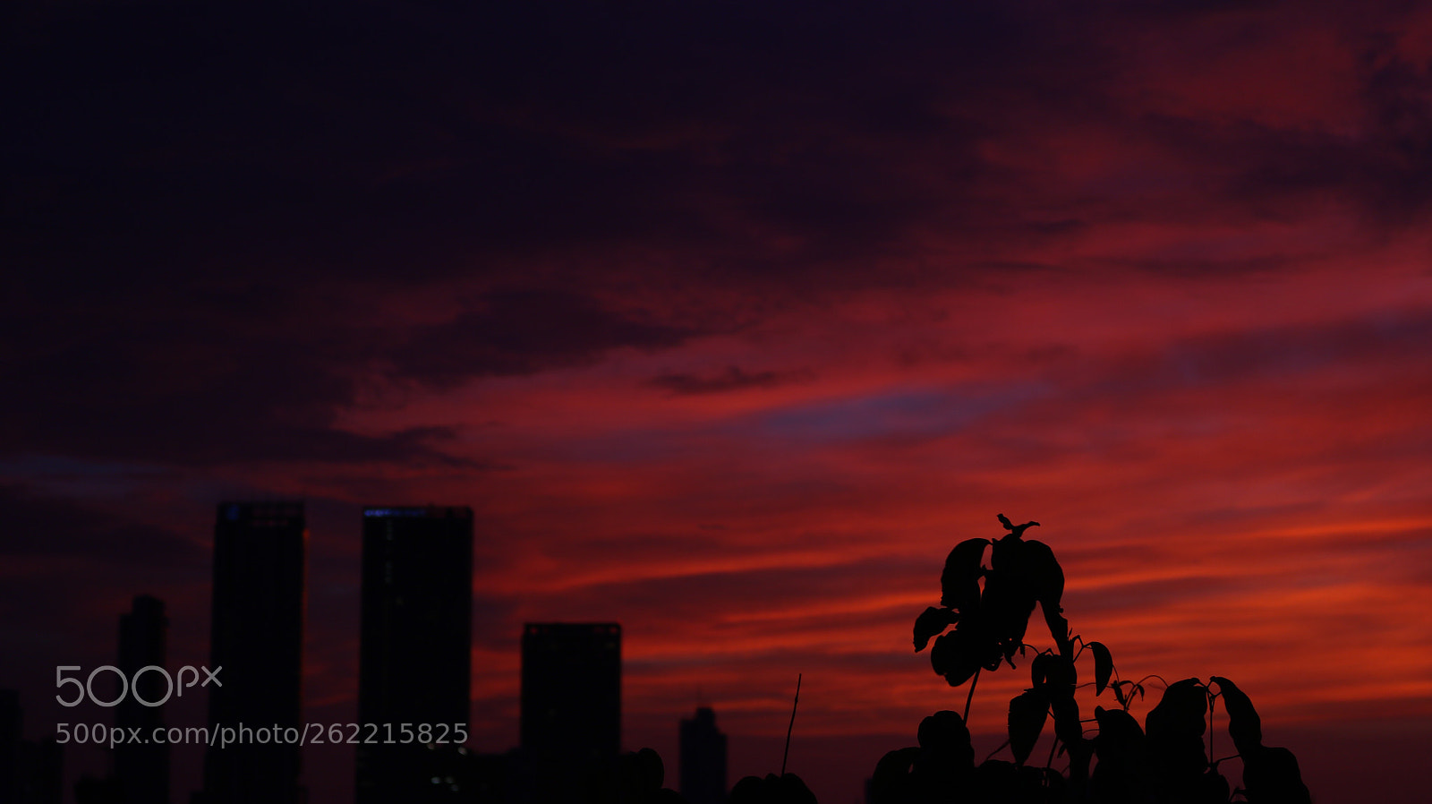 Canon EOS 750D (EOS Rebel T6i / EOS Kiss X8i) sample photo. Atardecer  photography