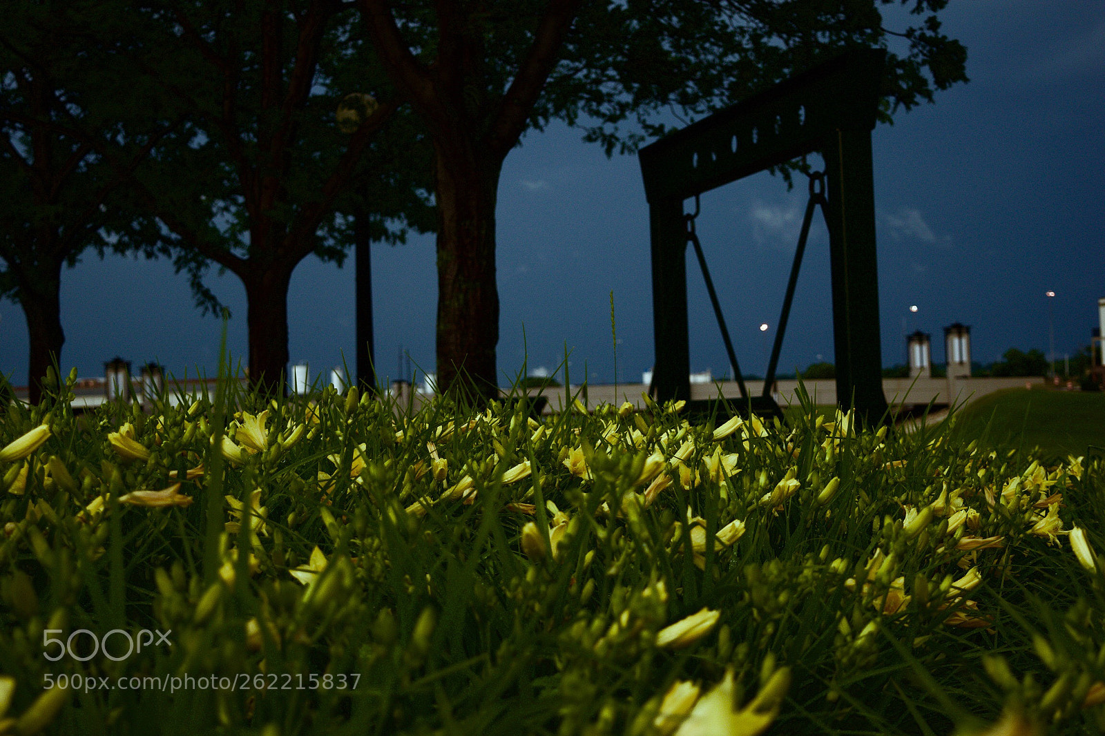 Nikon D3300 sample photo. Untitled photography