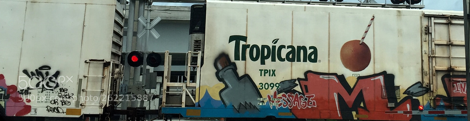 Apple iPhone 6 sample photo. Box car graffiti  photography