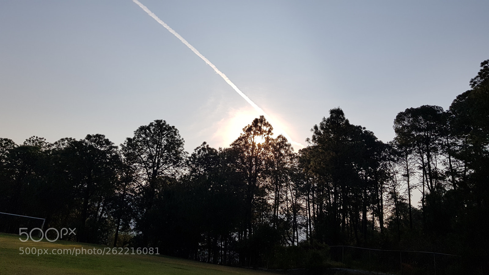 Samsung Galaxy S8+ sample photo. Make a wish. photography