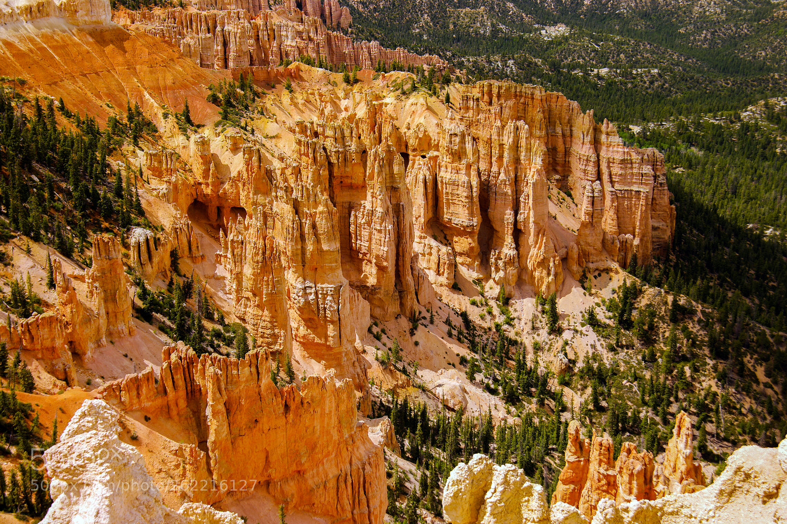 Samsung NX1 sample photo. Rainbow point, bryce canyon photography