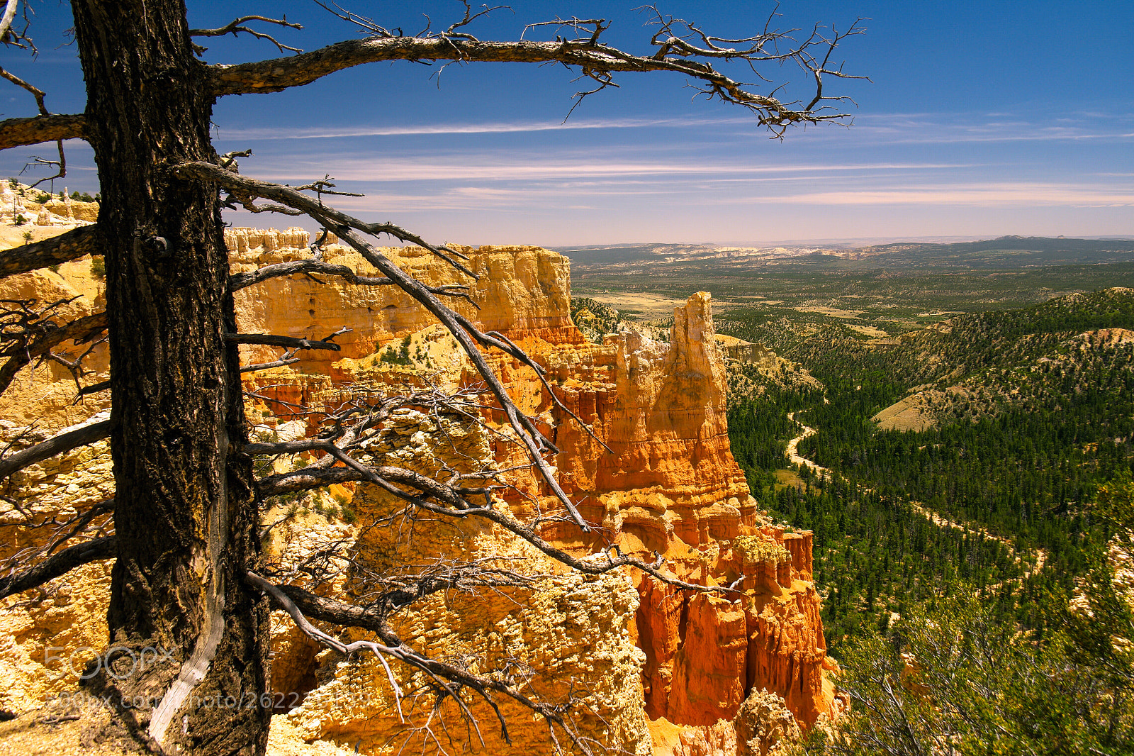 Samsung NX1 sample photo. Bryce point, bryce canyon photography