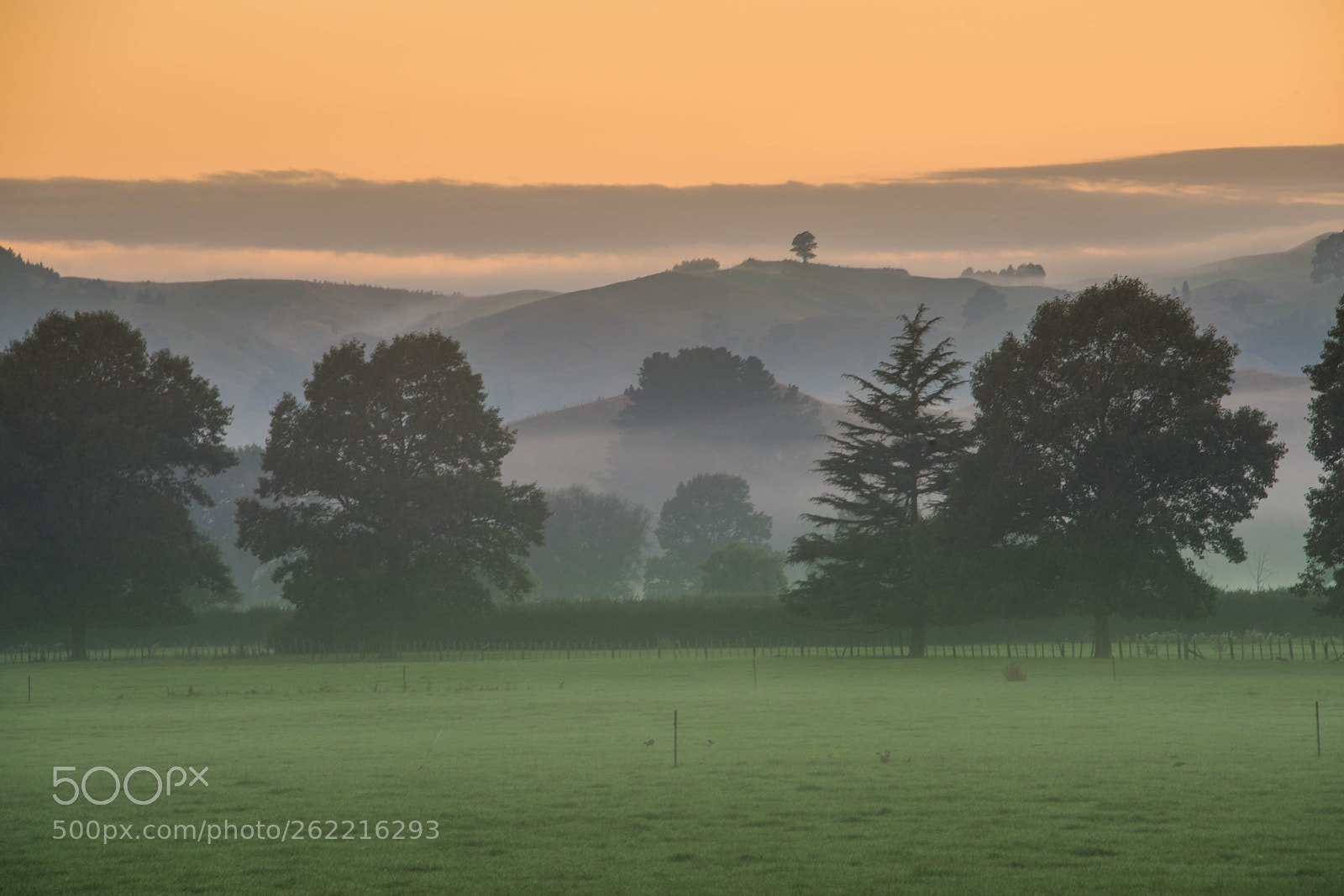 Nikon D810 sample photo. Layer upon layer photography
