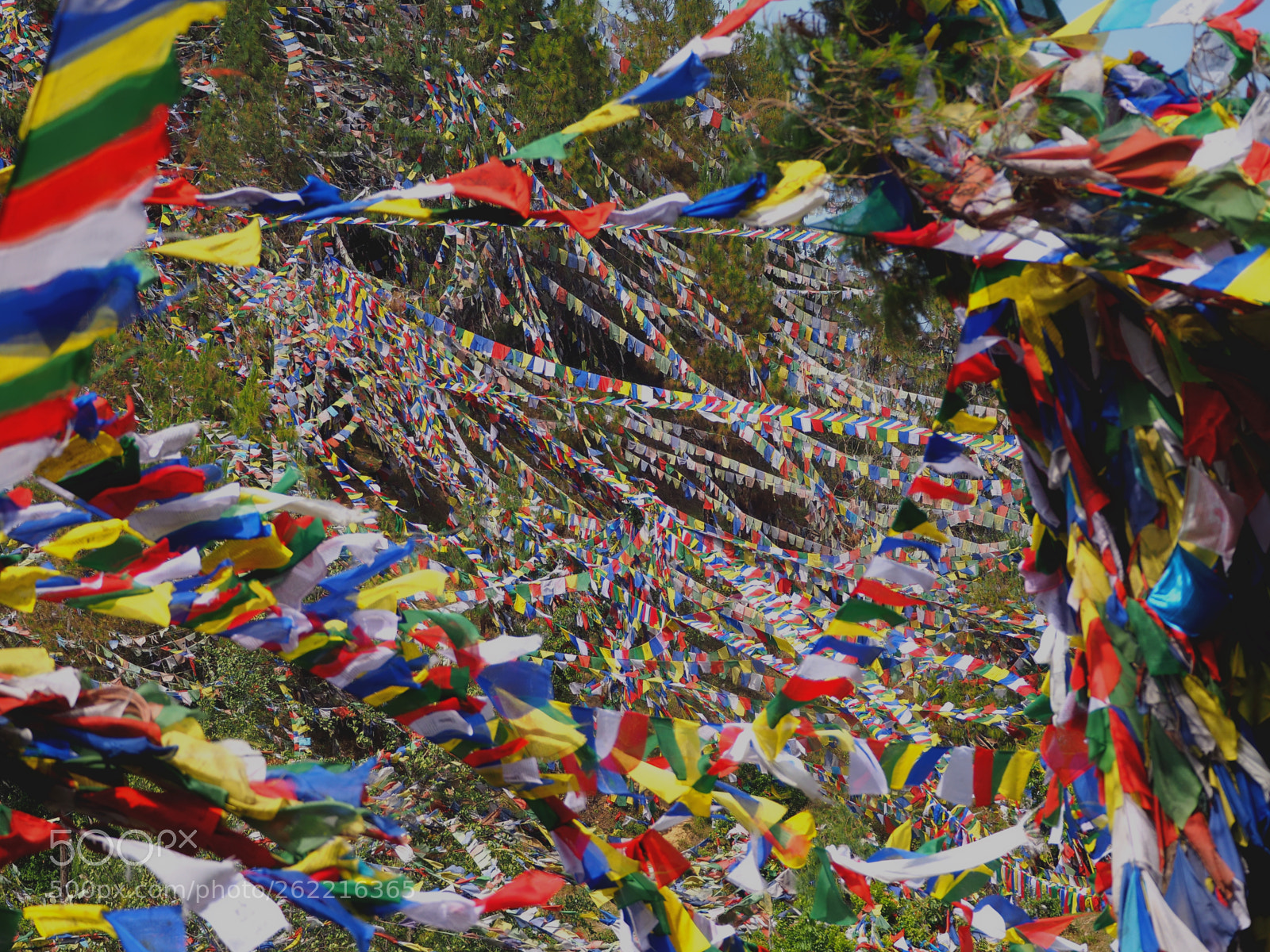 Olympus OM-D E-M10 II sample photo. Prayer flags photography