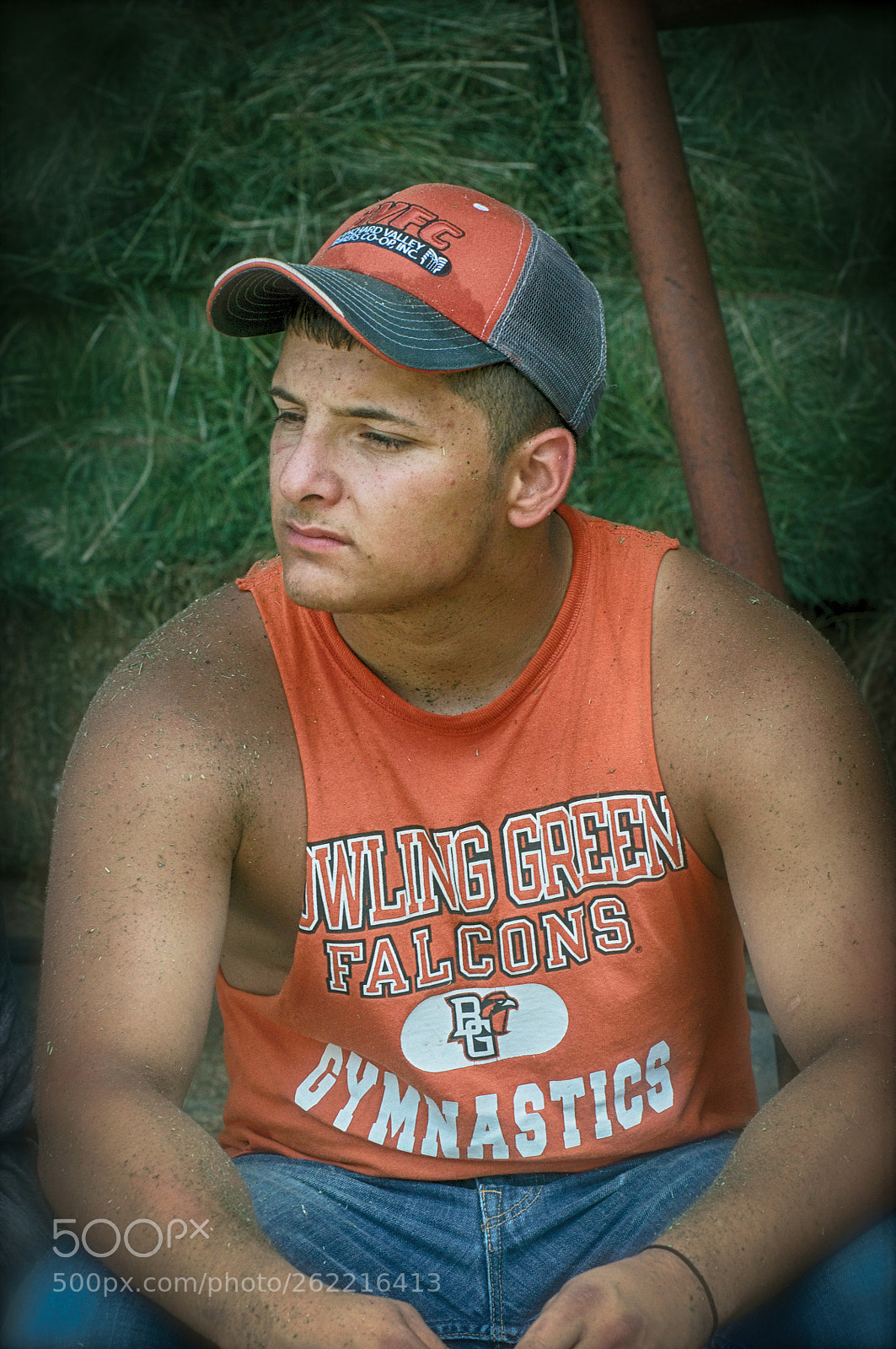 Nikon D90 sample photo. Bg falcons photography