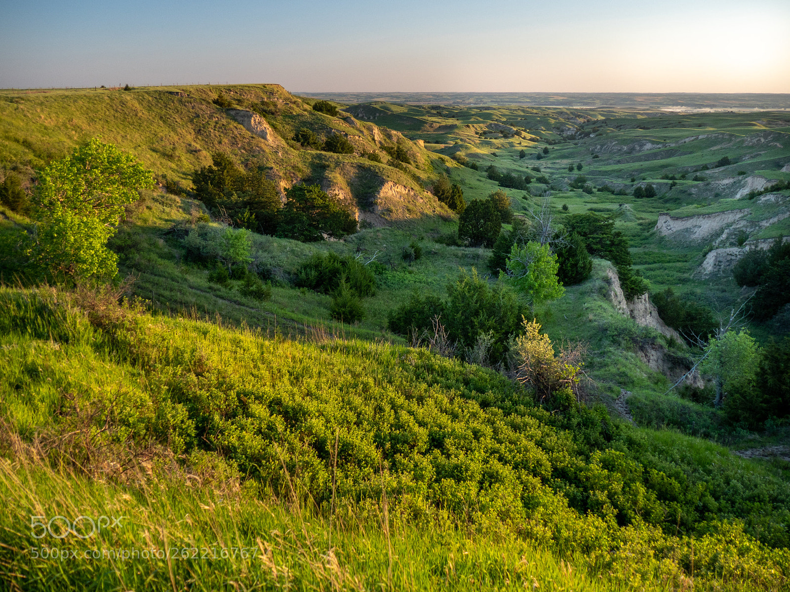 Olympus PEN E-PL7 sample photo. Nebraska, usa photography