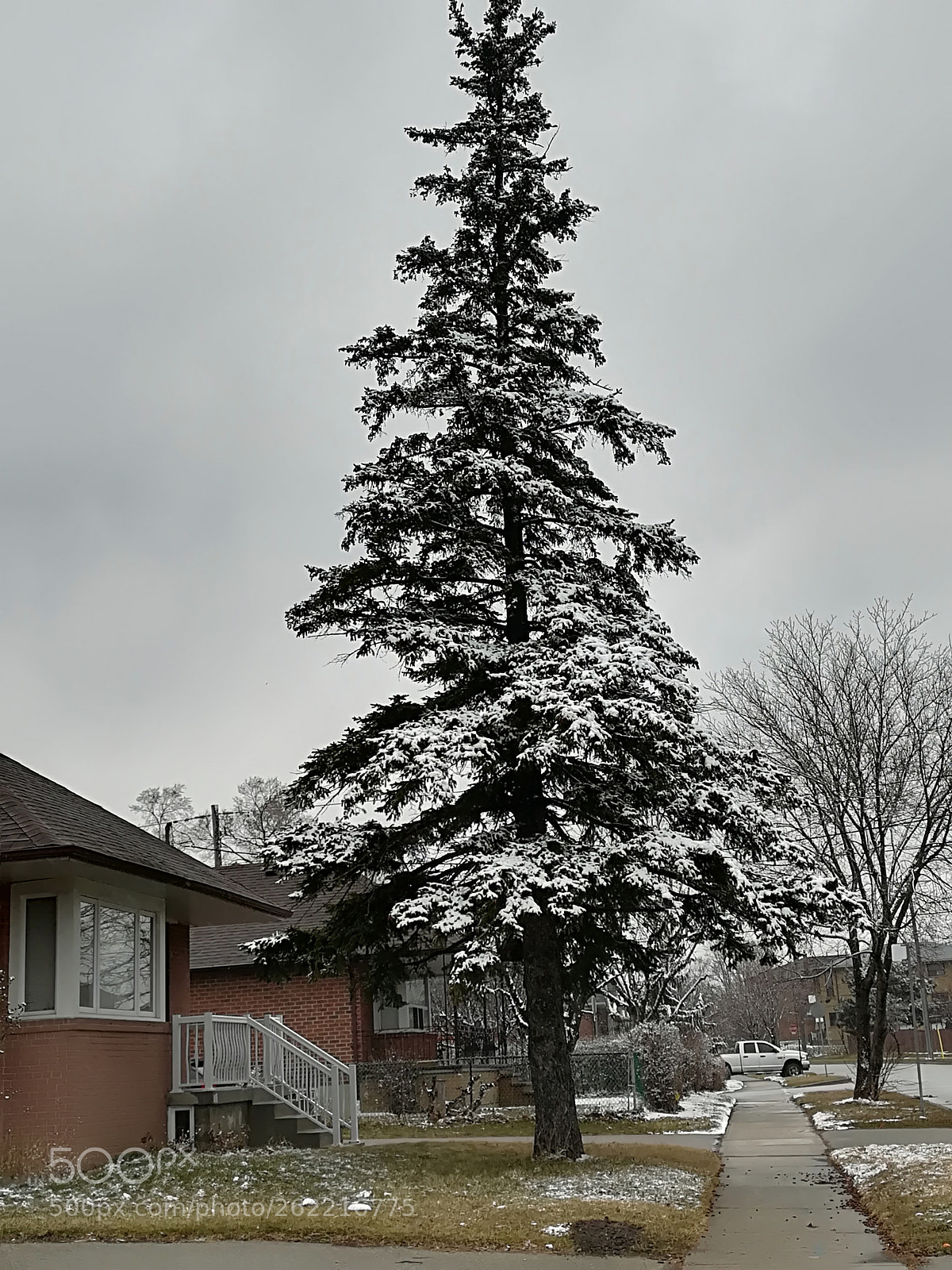 HUAWEI P10 lite sample photo. #snowpinetree photography