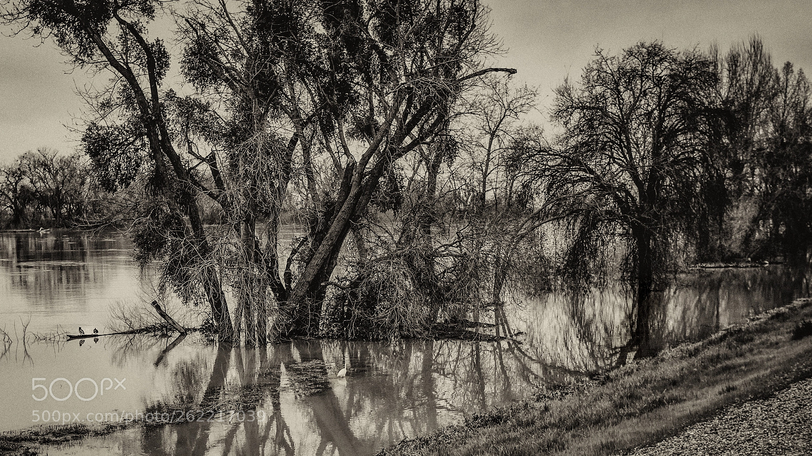 Fujifilm X-Pro2 sample photo. Sacramento river 118 photography